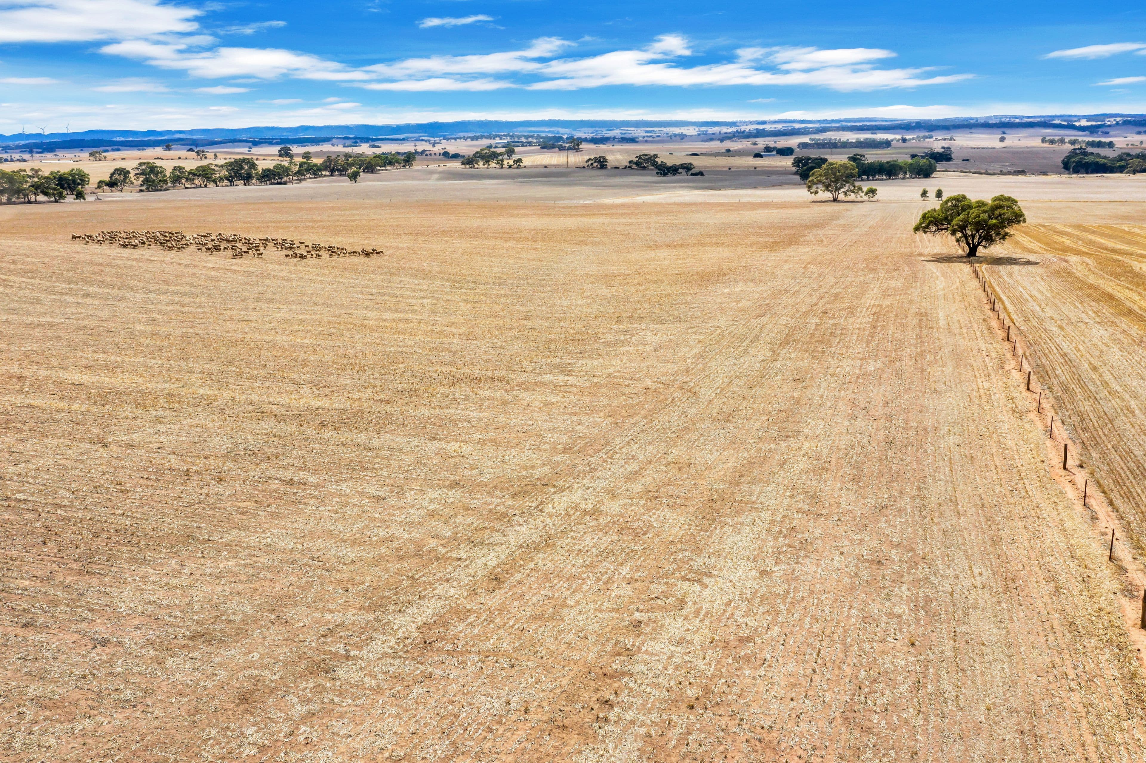"Vingo's" Lot 57 Powerline South Road, Marrabel SA 5413, Marrabel - Thumbnail 2