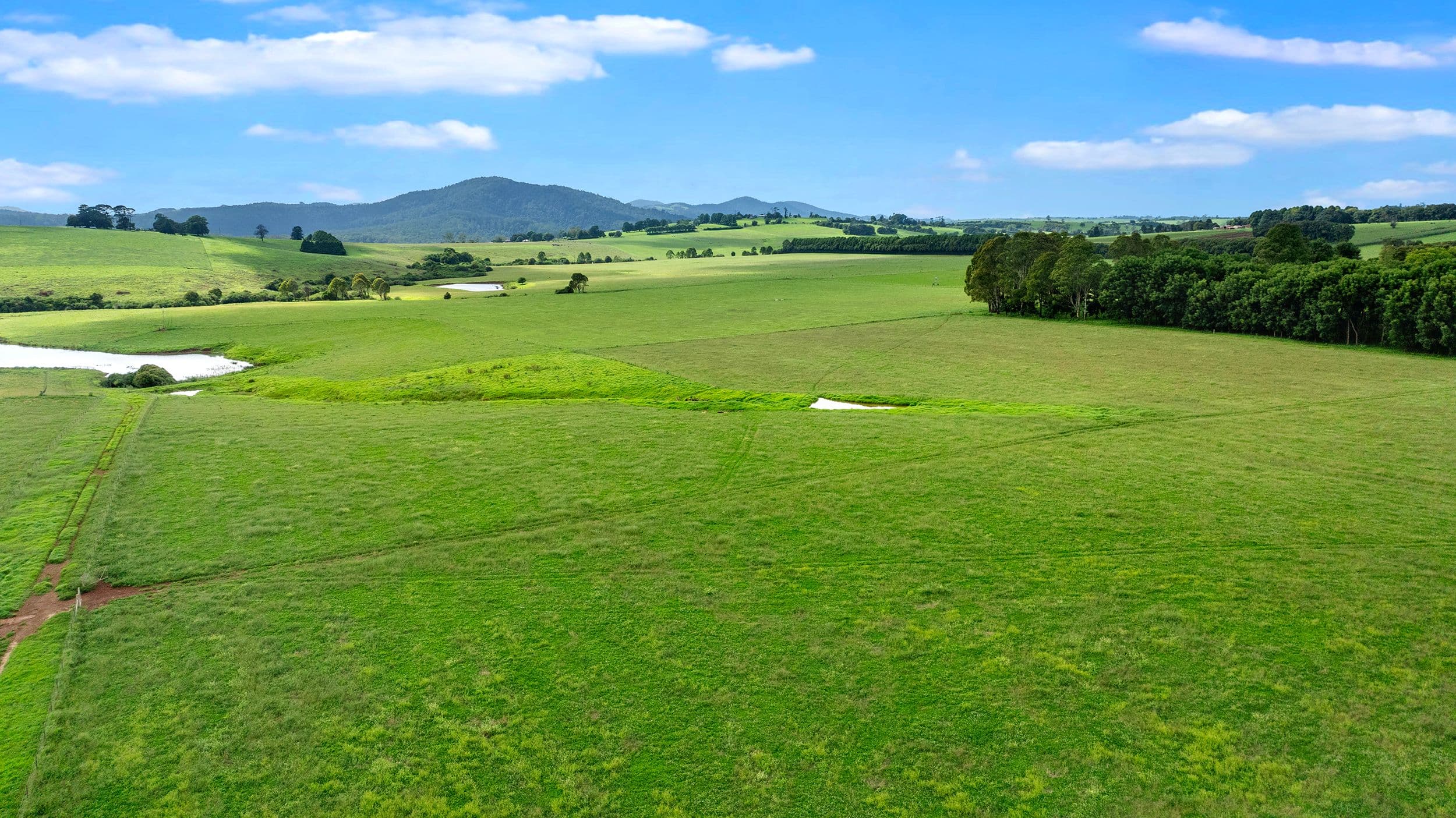 68 Paddys Plains Road, Dorrigo NSW 2453, Dorrigo - Thumbnail 6