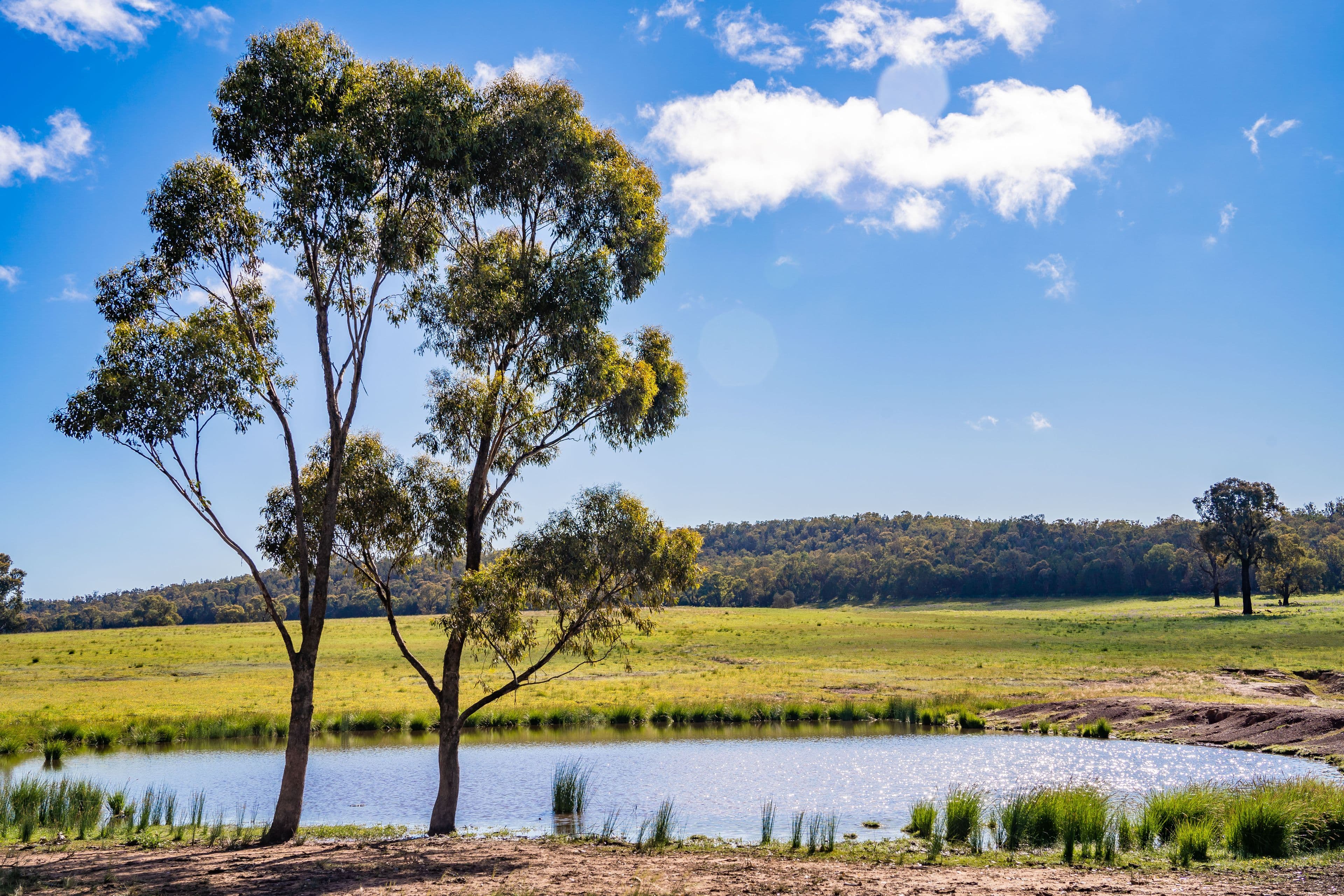 Jayton North' Fragar Road, COWRA NSW 2794, Cowra - Thumbnail 8