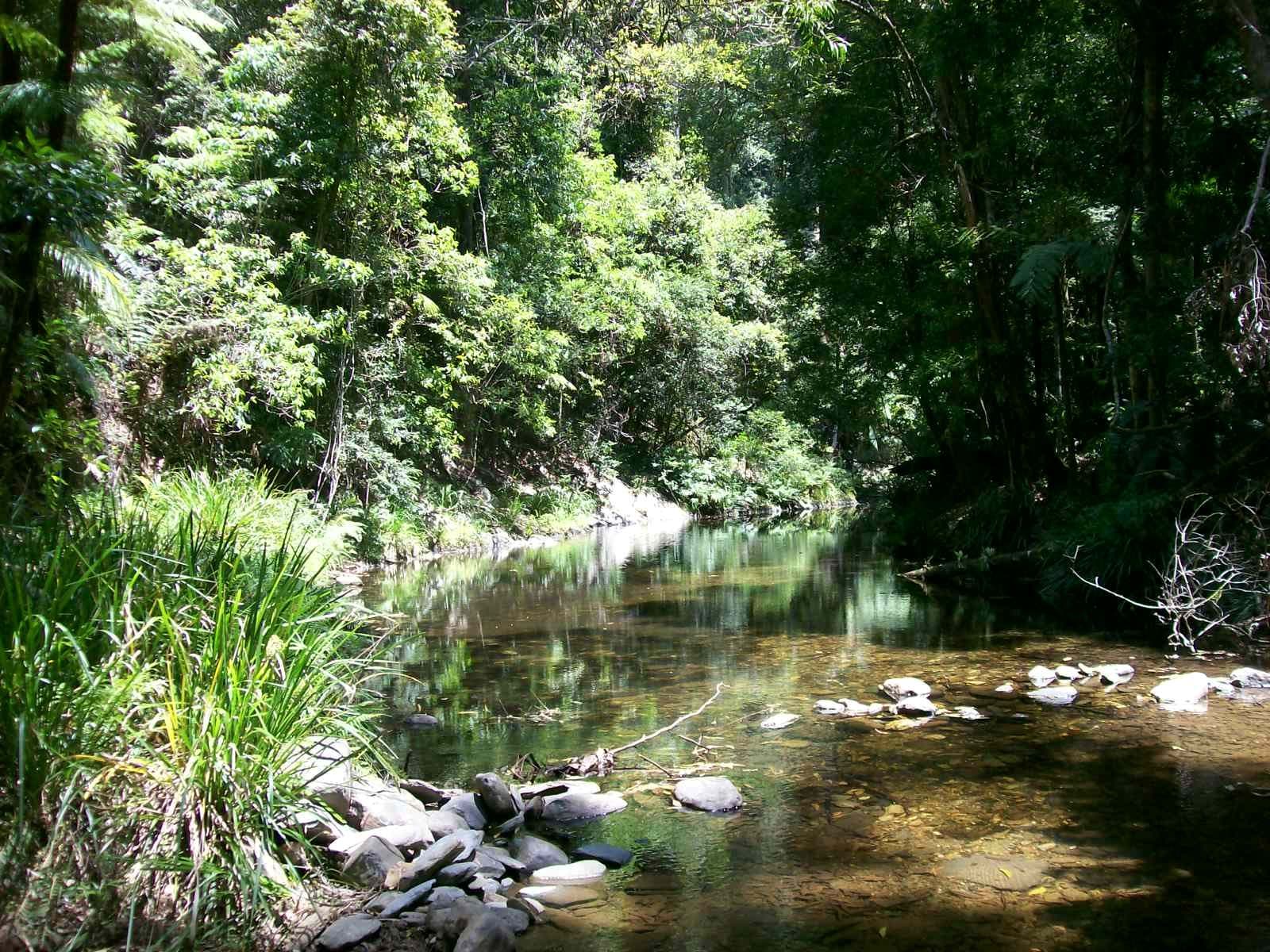 3566 Kalang Road Kalang, Bellingen NSW 2454, Bellingen - Image 1