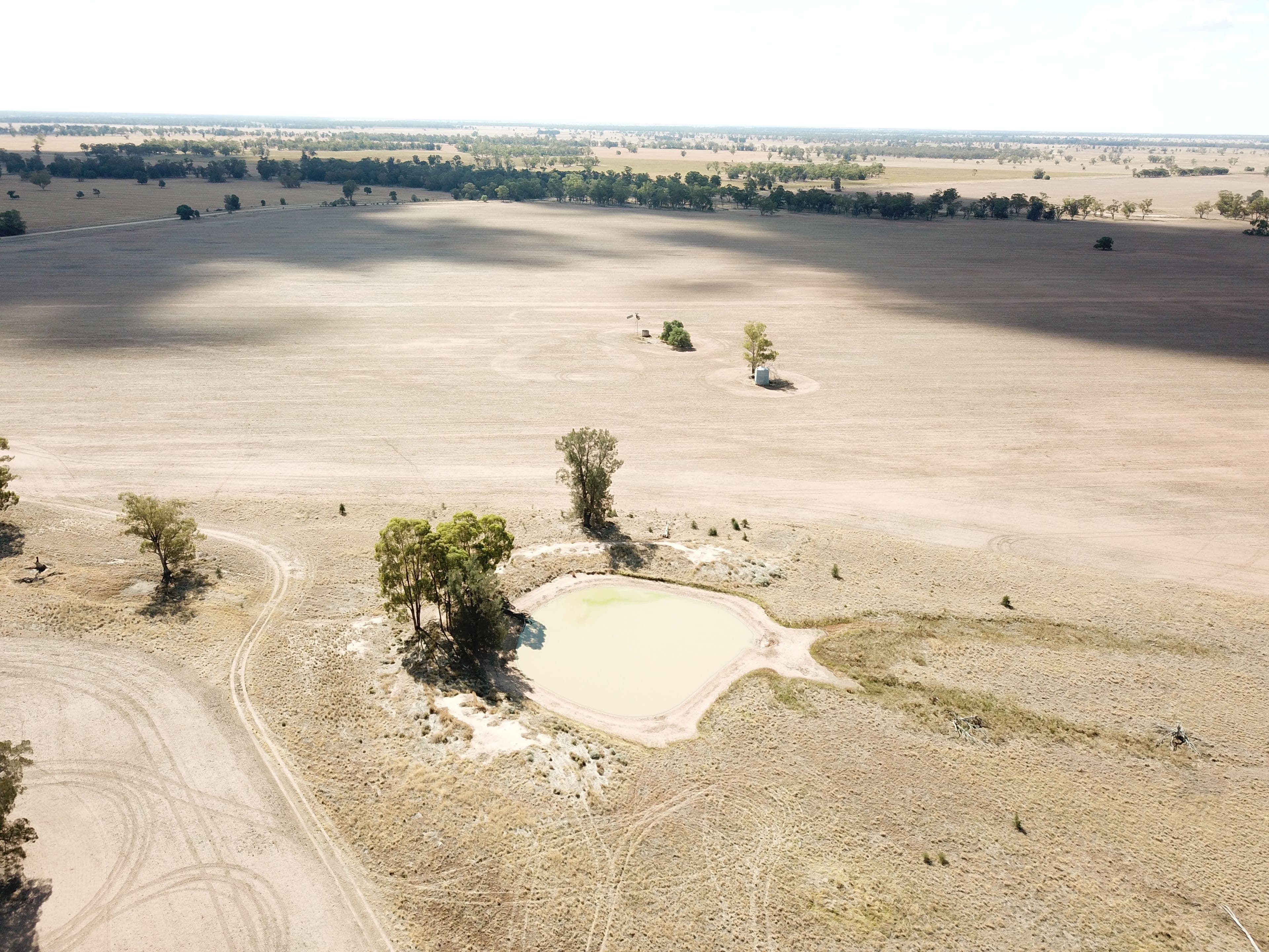 Pett's Block, Pineview Road, NARROMINE NSW 2821, Narromine - Thumbnail 3
