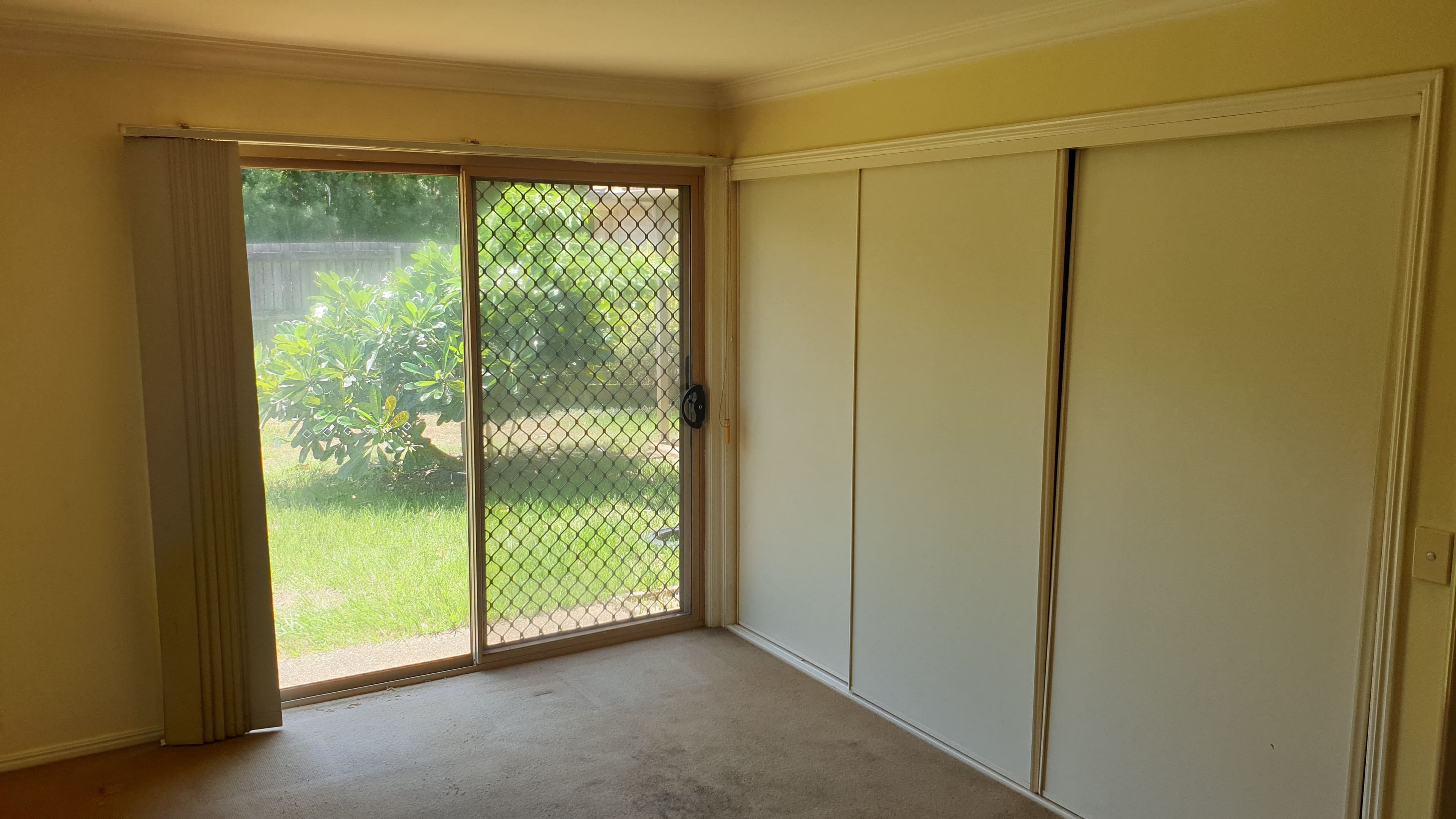 65 Warrego Crescent, Murrumba Downs QLD 4503, Murrumba Downs - Thumbnail 6