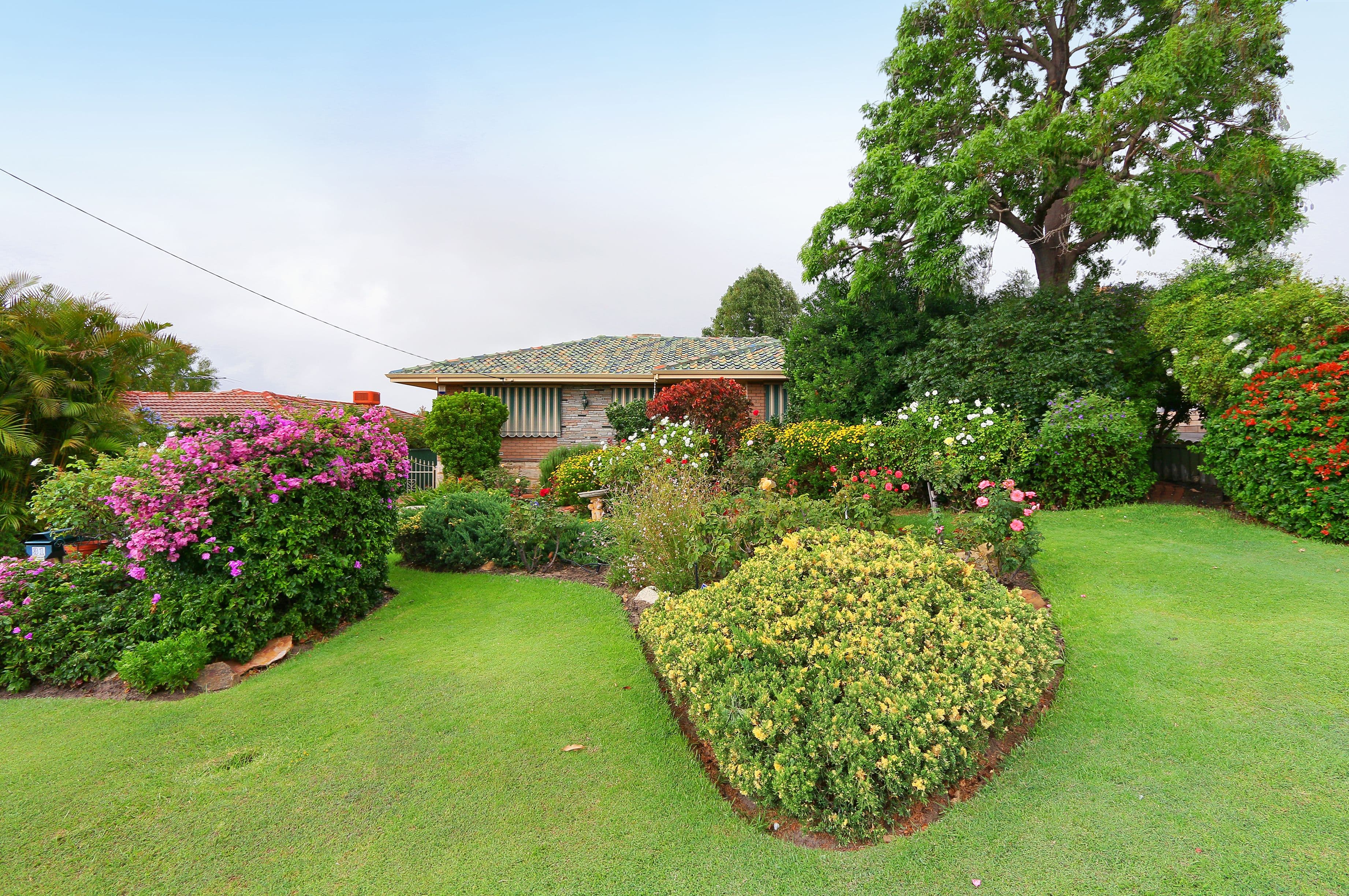31 Mandora Way, Riverton WA 6148, Riverton - Thumbnail 3