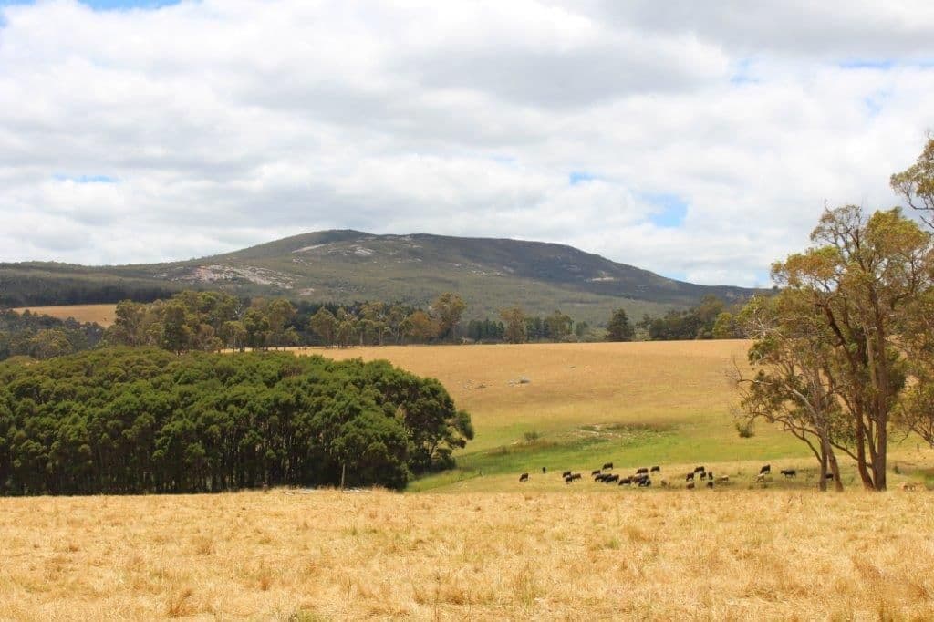 53 McNess Road, Denmark WA 6333, Denmark - Thumbnail 2