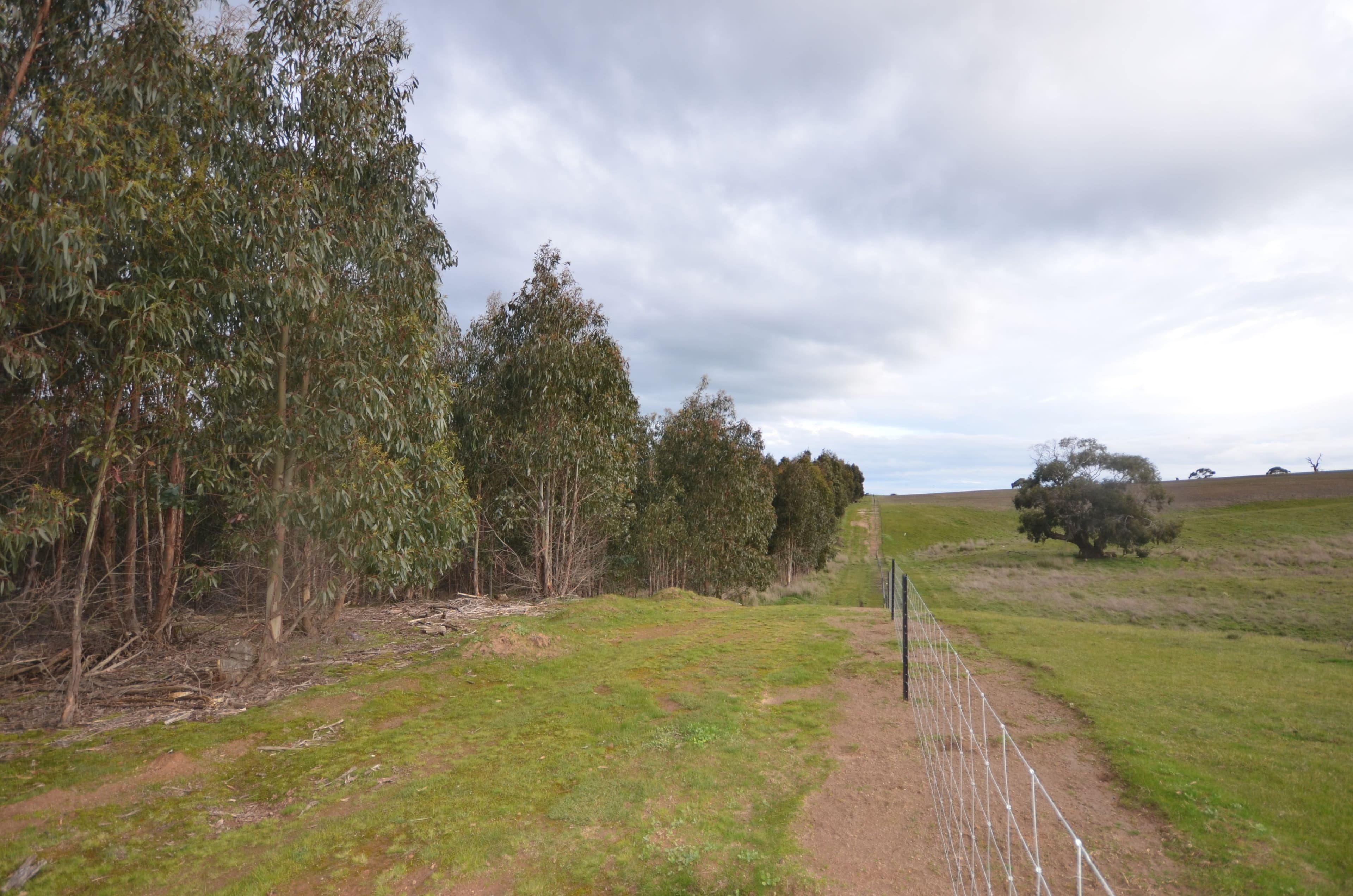 CA 46 Moreton Hill Road, SKIPTON VIC 3361, Skipton - Thumbnail 2