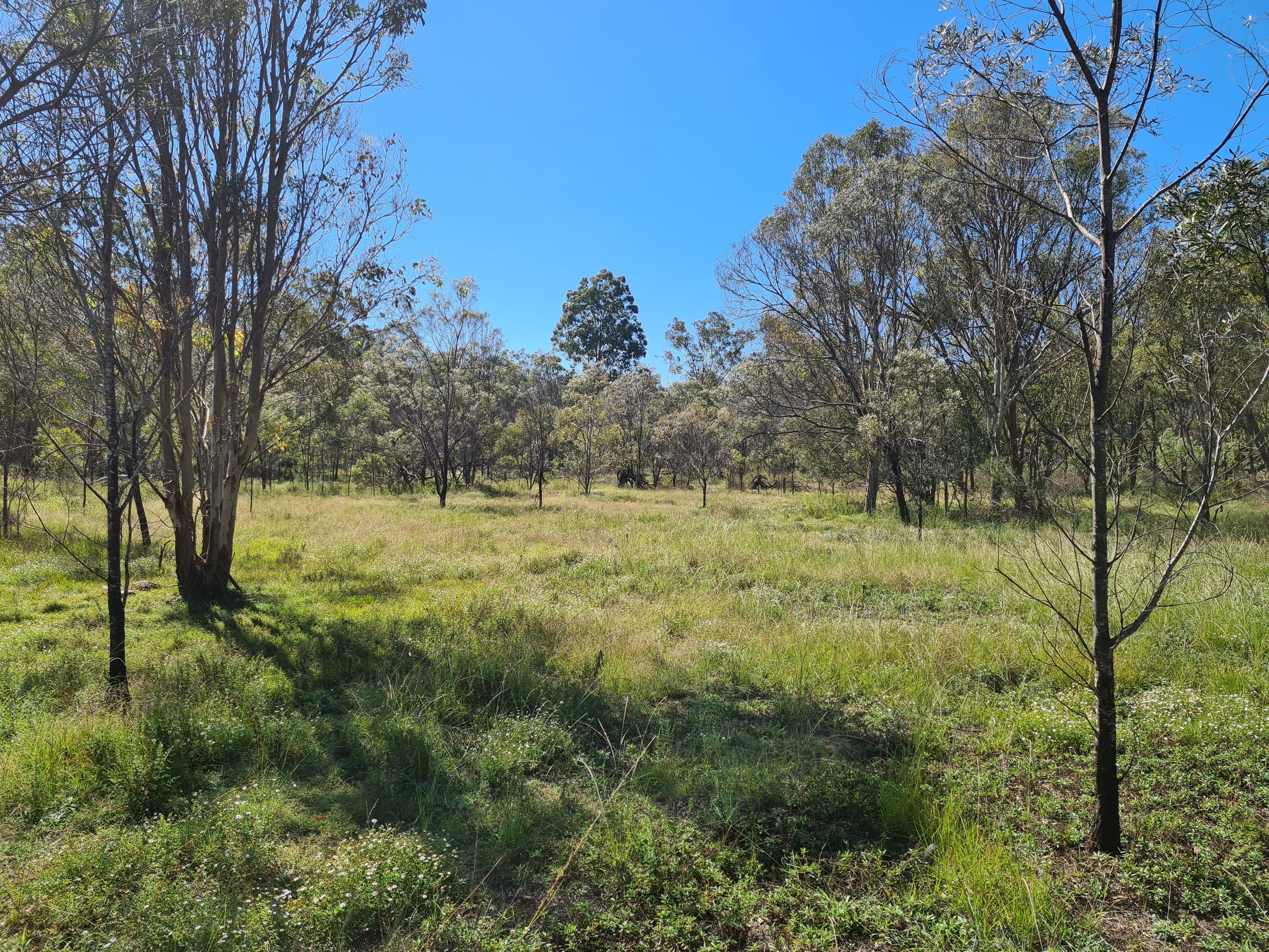 20 South Street, Crows Nest QLD 4355, Crows Nest - Thumbnail 6