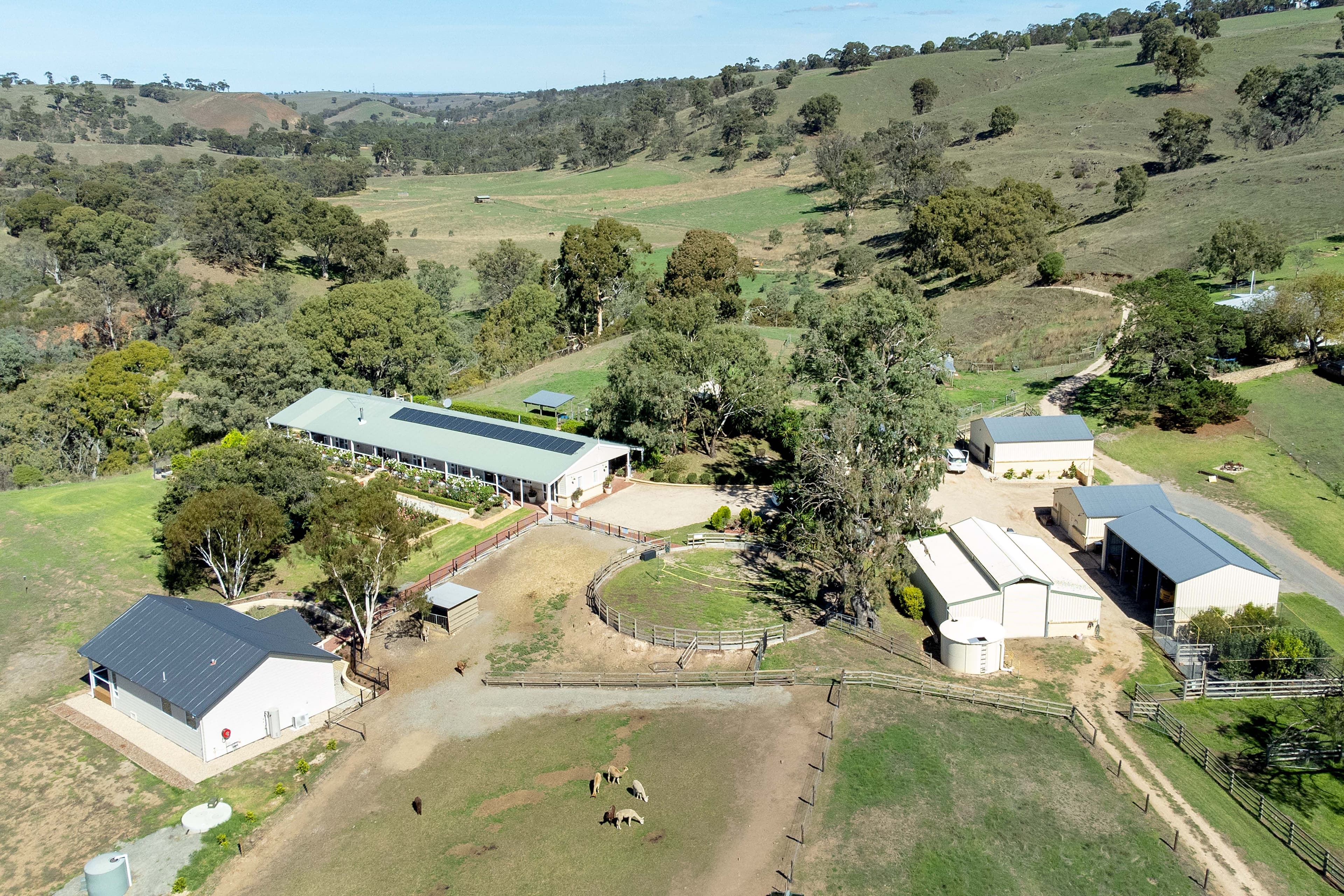 95 Smyth Road, Dawesley SA 5252, Dawesley - Thumbnail 3