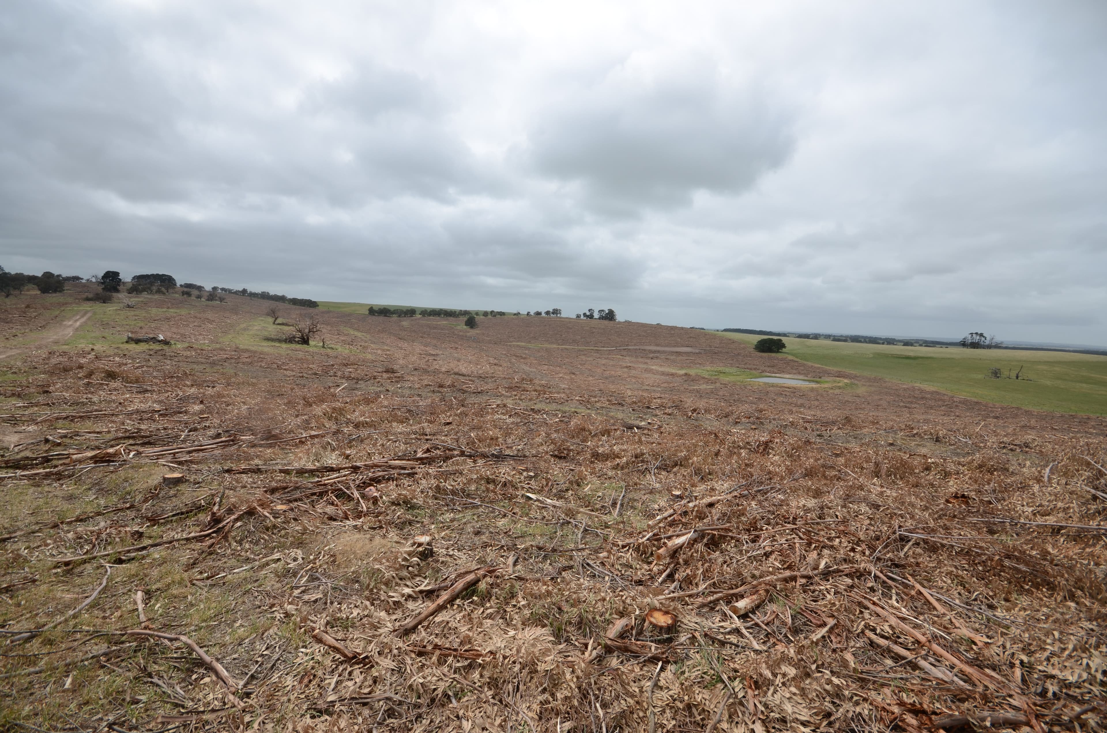 Lot 1 "Curlewis" Ellis Road, BEAUFORT VIC 3373, Beaufort - Thumbnail 7