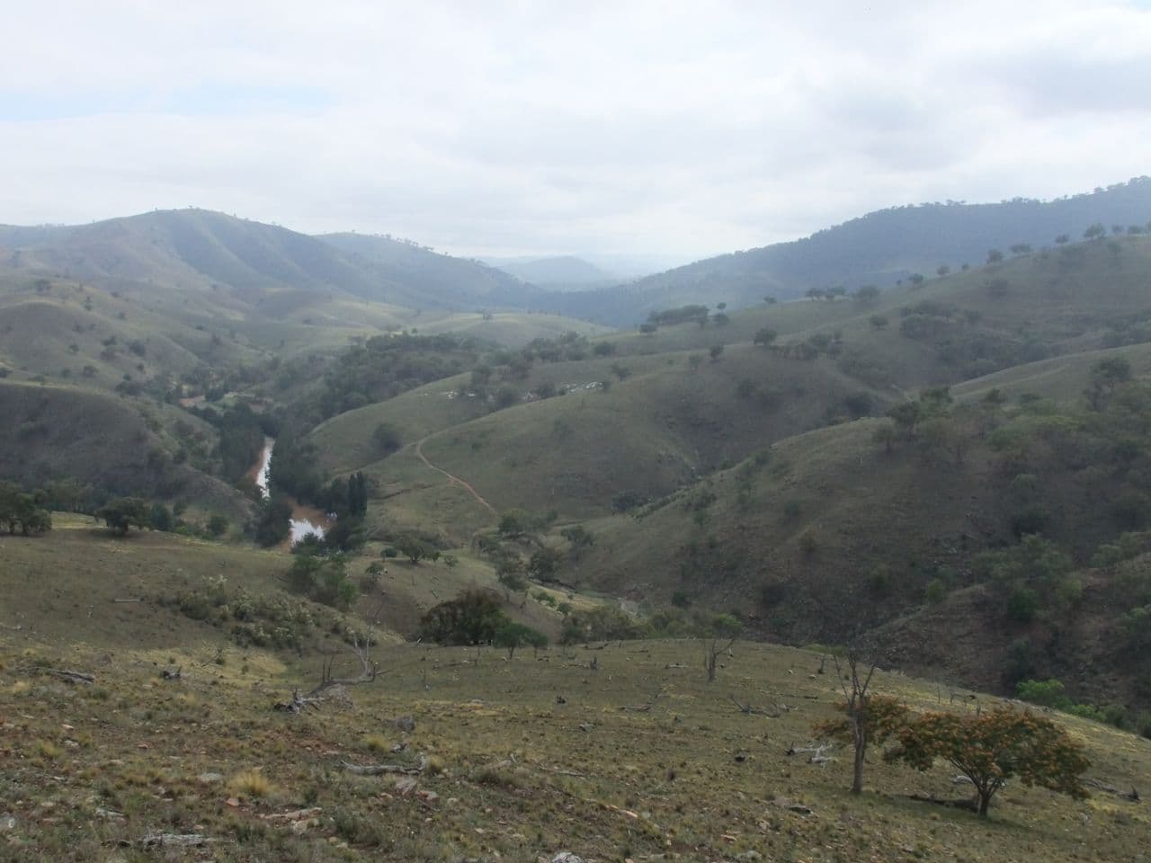 212 Quartz Ride Road, Turondale NSW 2795, Turondale - Image 1