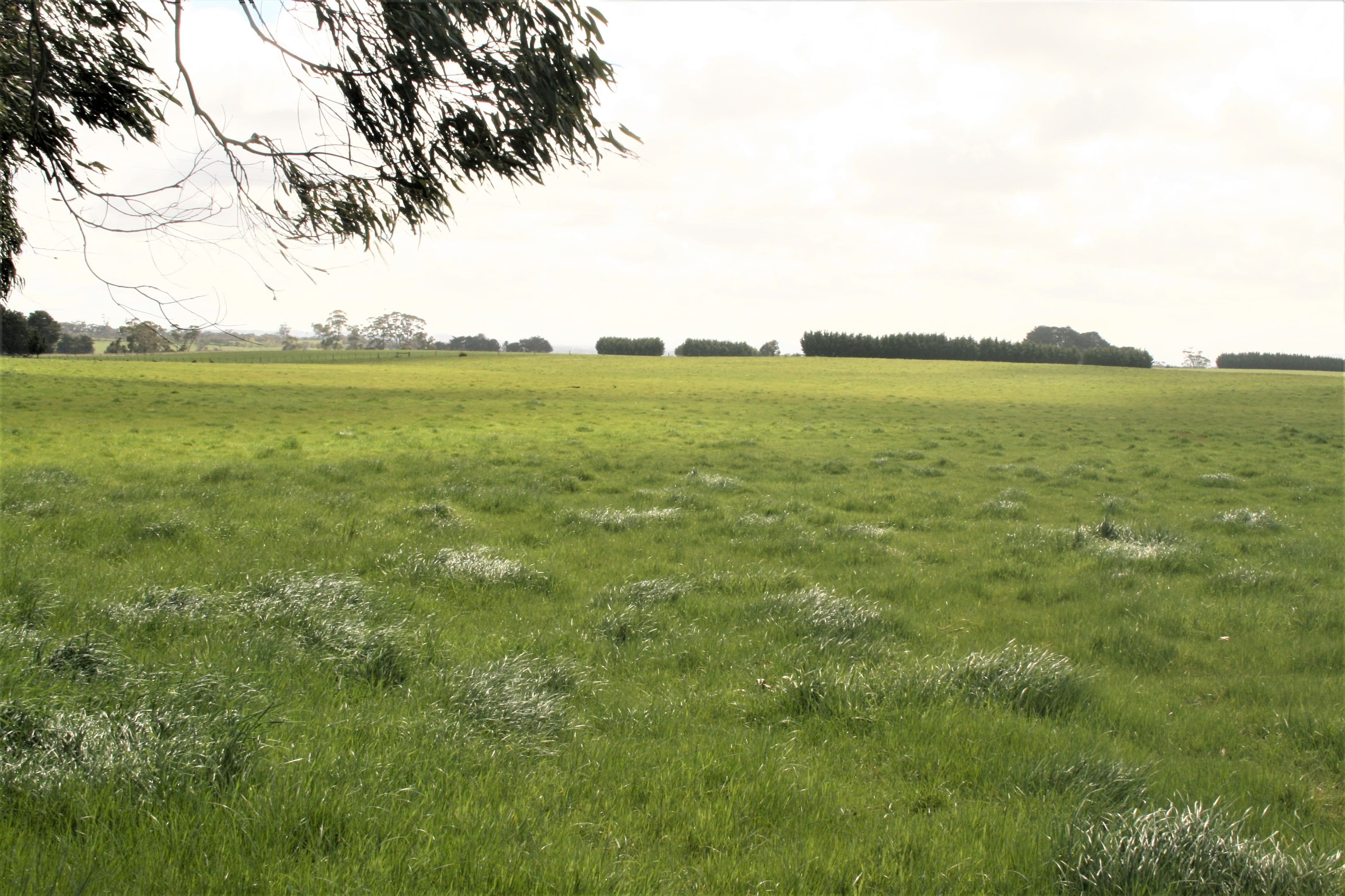 00 Trentham Road, Tylden VIC 3444, Tylden - Image 1