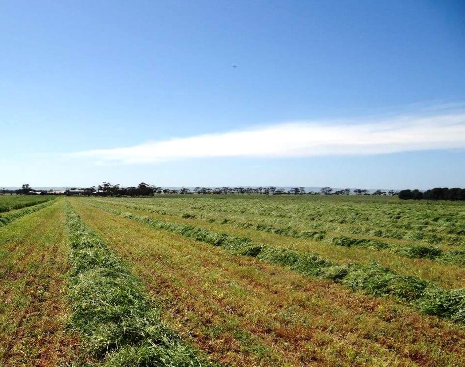 "Tiroroa" Blyth Road, BLYTH SA 5462, Blyth - Image 1