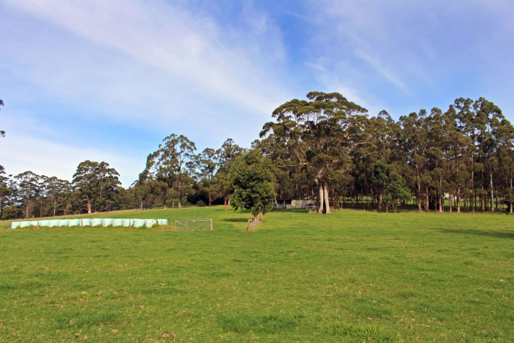 31 Pittam Way, Denmark WA 6333, Denmark - Thumbnail 3