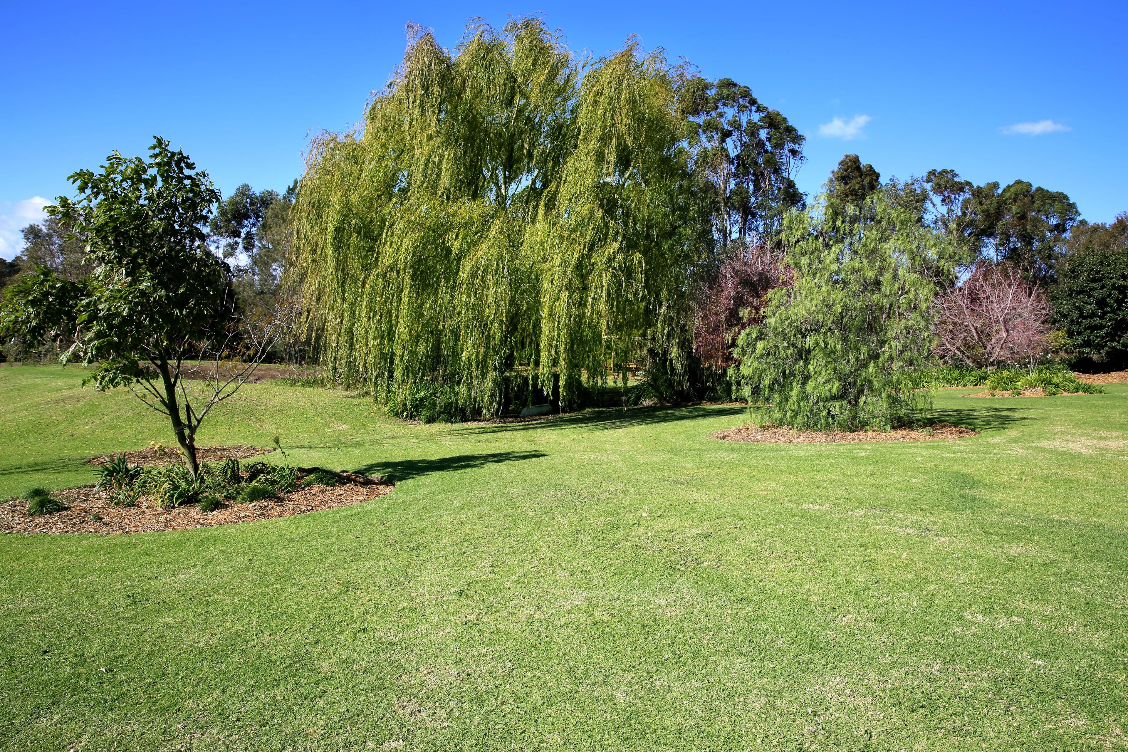9 Coolaroo Place, Berry NSW 2535, Berry - Thumbnail 7