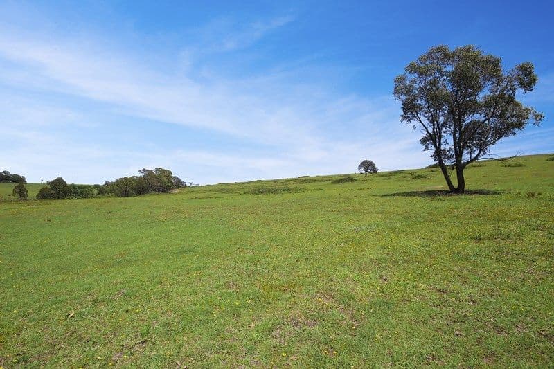 787 Inverary Road, Paddys River NSW 2577, Paddys River - Thumbnail 4