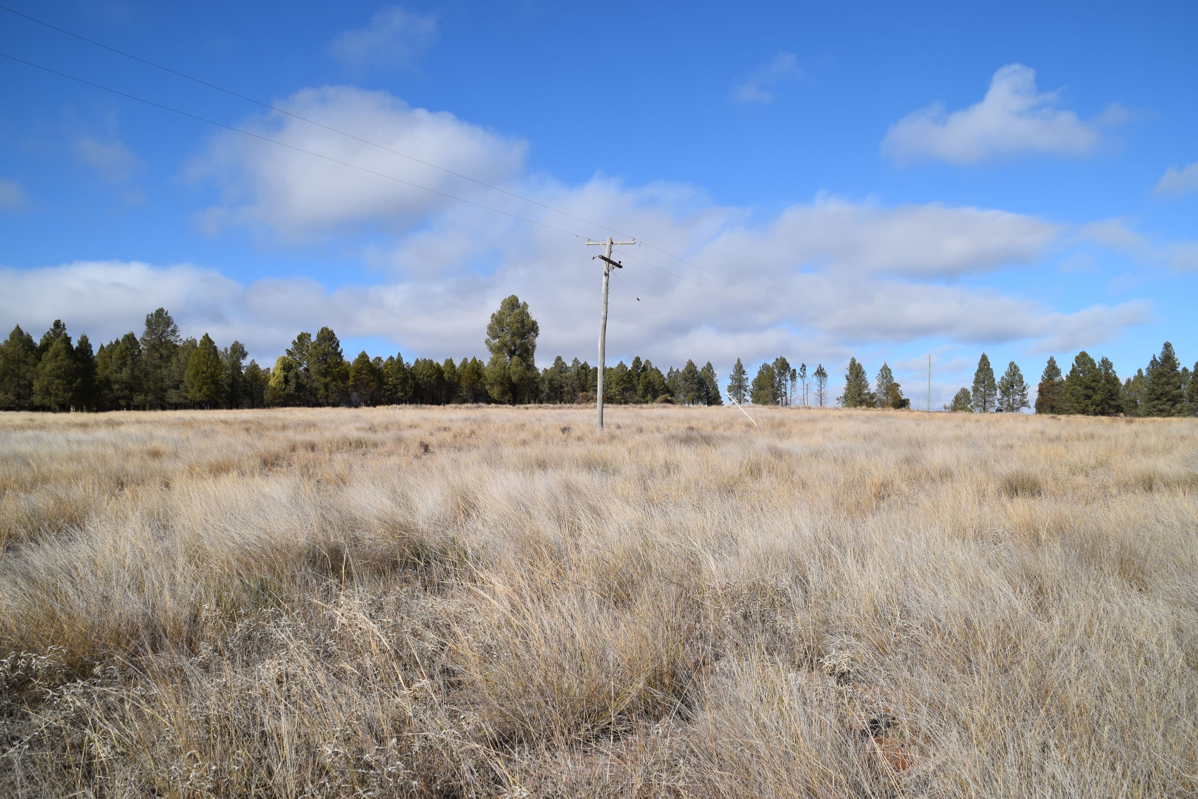 10R Buddens Road, Dubbo NSW 2830, Dubbo - Thumbnail 5