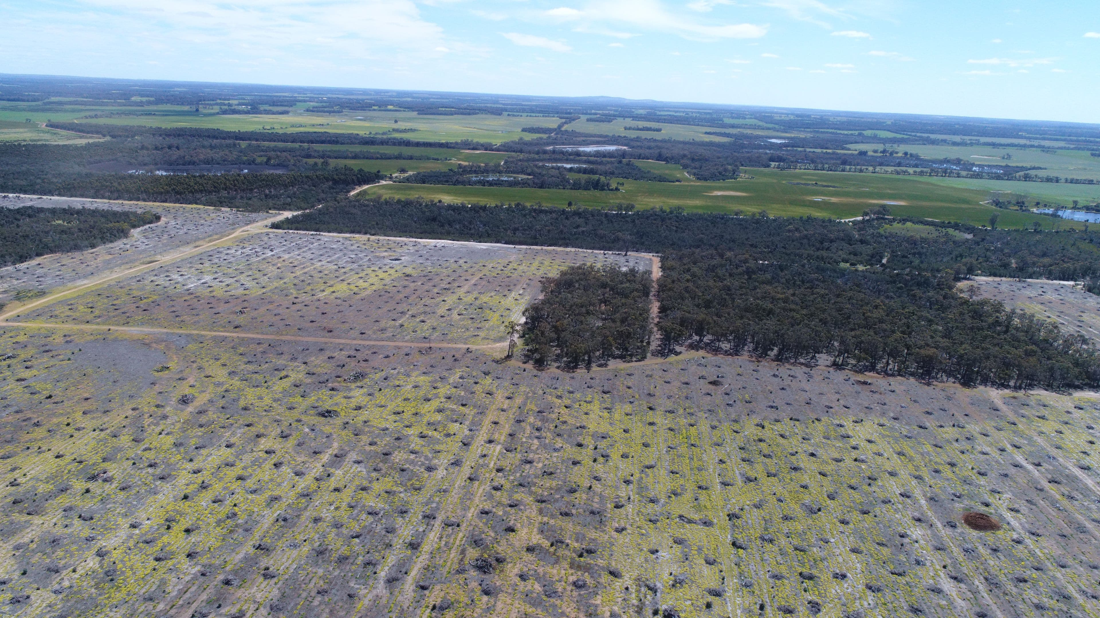674 Kwornicup Road, Forest Hill WA 6324, Forest Hill - Thumbnail 2