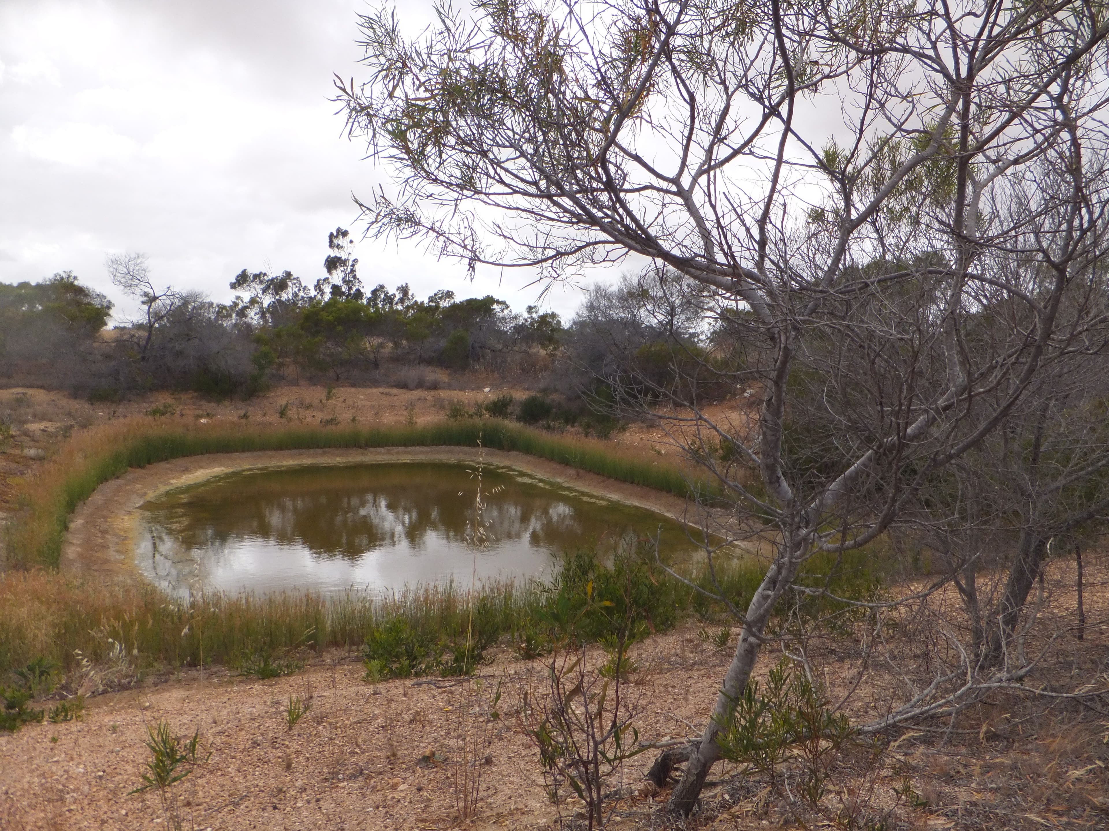 18 Blue Vista, Hopetoun WA 6348, Hopetoun - Thumbnail 8