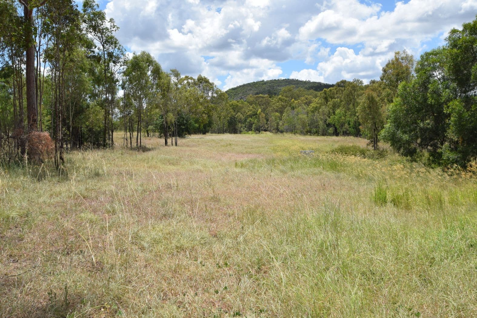 Lot 3 Chaille Road, Esk QLD 4312, Esk - Thumbnail 4