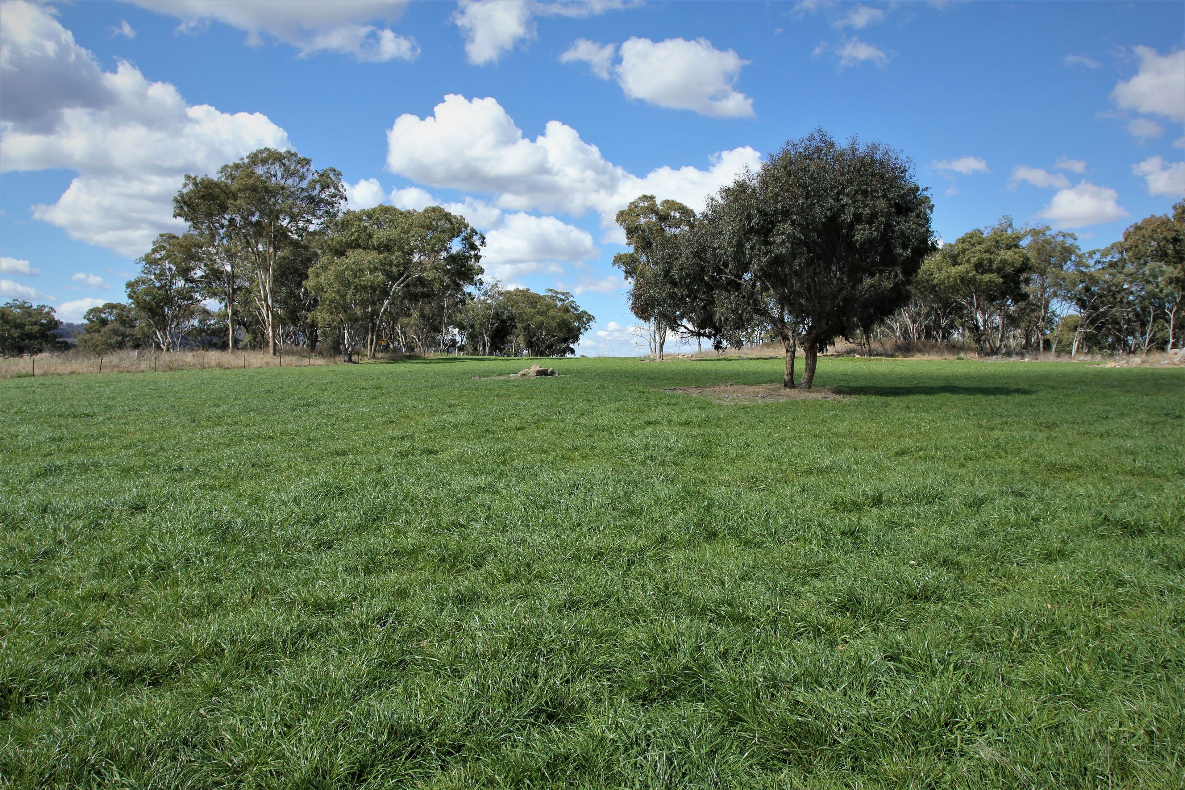 214 Tarban Loop Road, Tenterfield NSW 2372, Tenterfield - Thumbnail 8