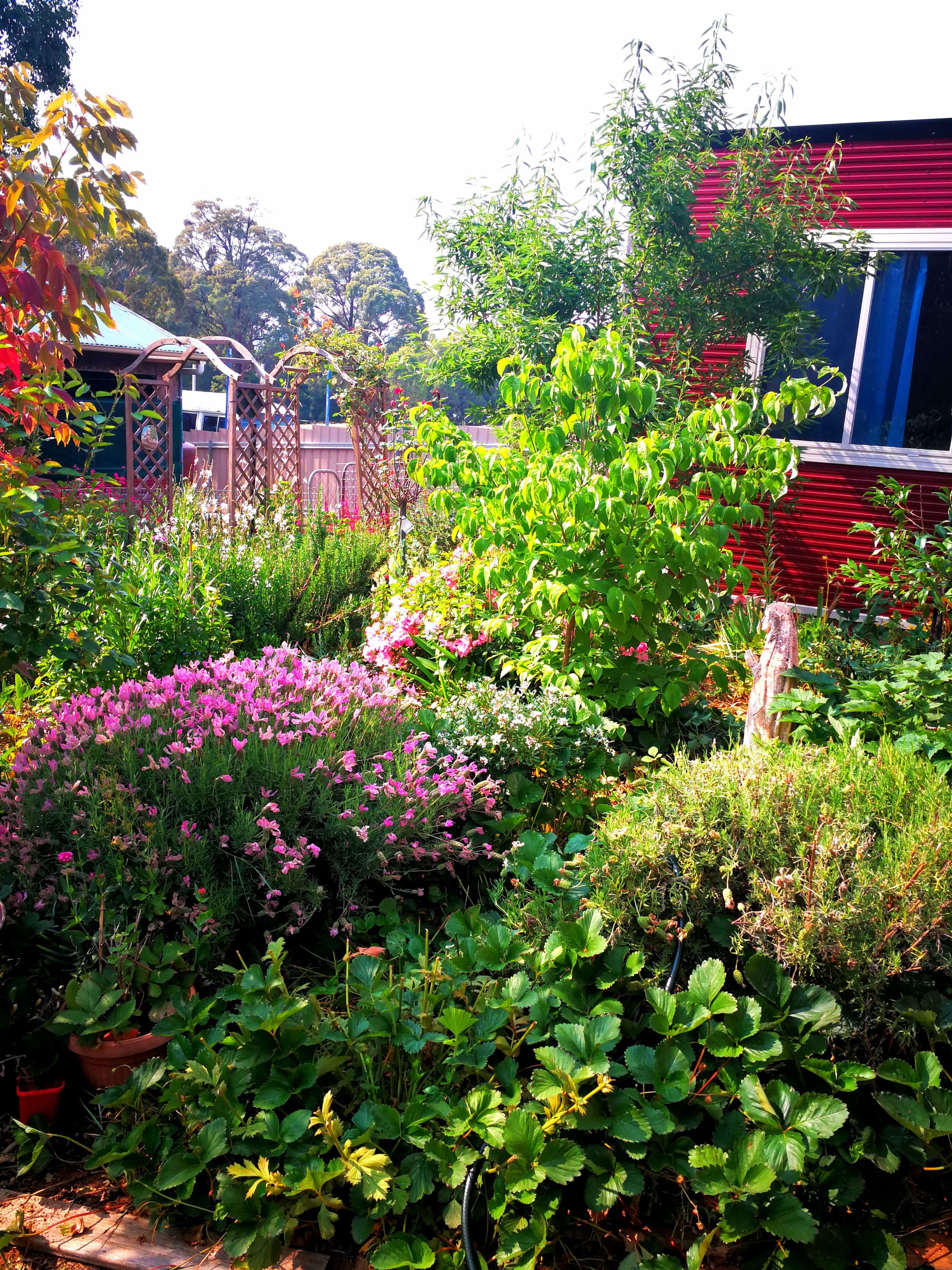 18 Bonza Crescent, Batlow - Thumbnail 5