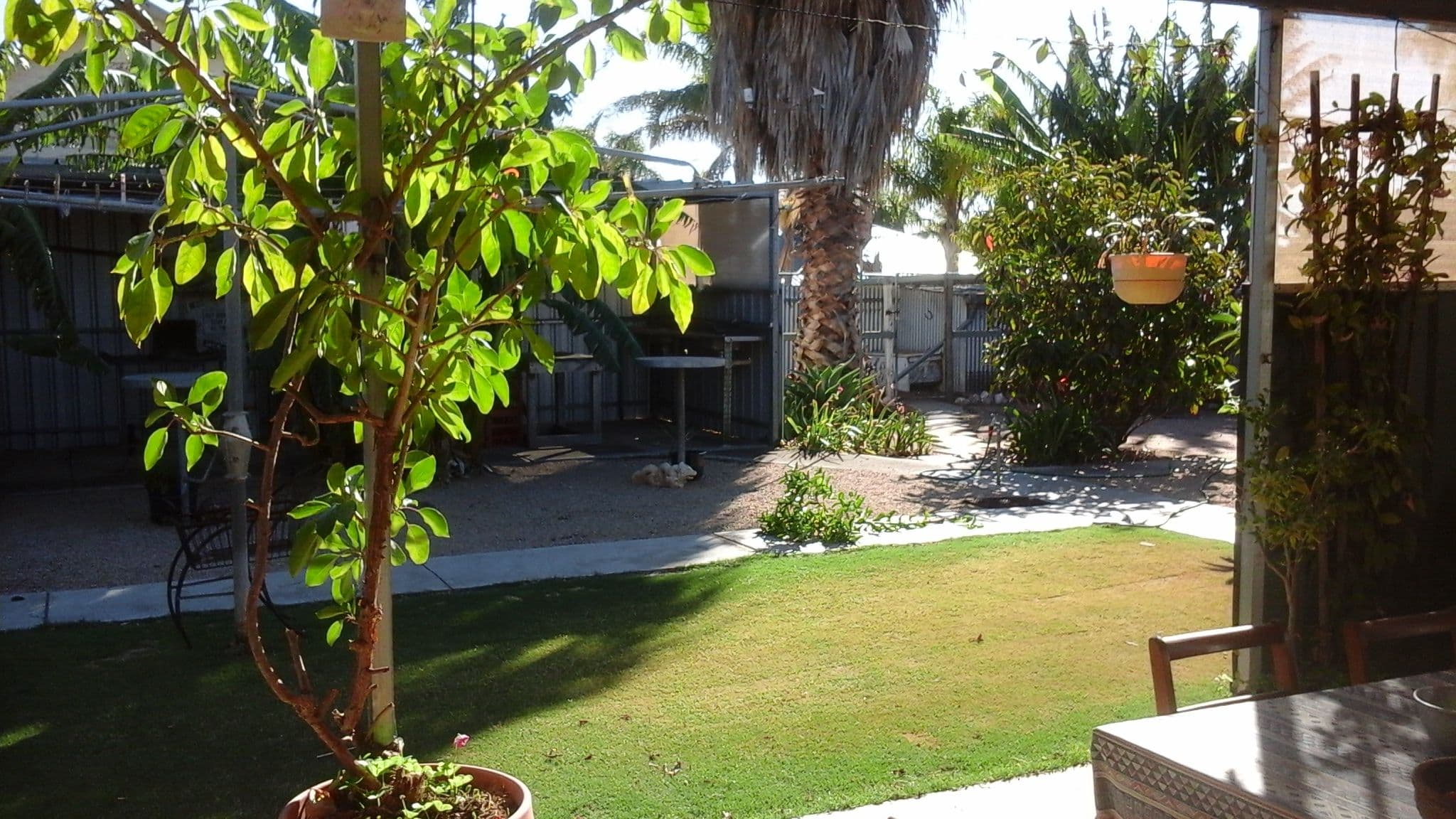 10 Wells Terrace, Price SA 5570, Price - Thumbnail 6