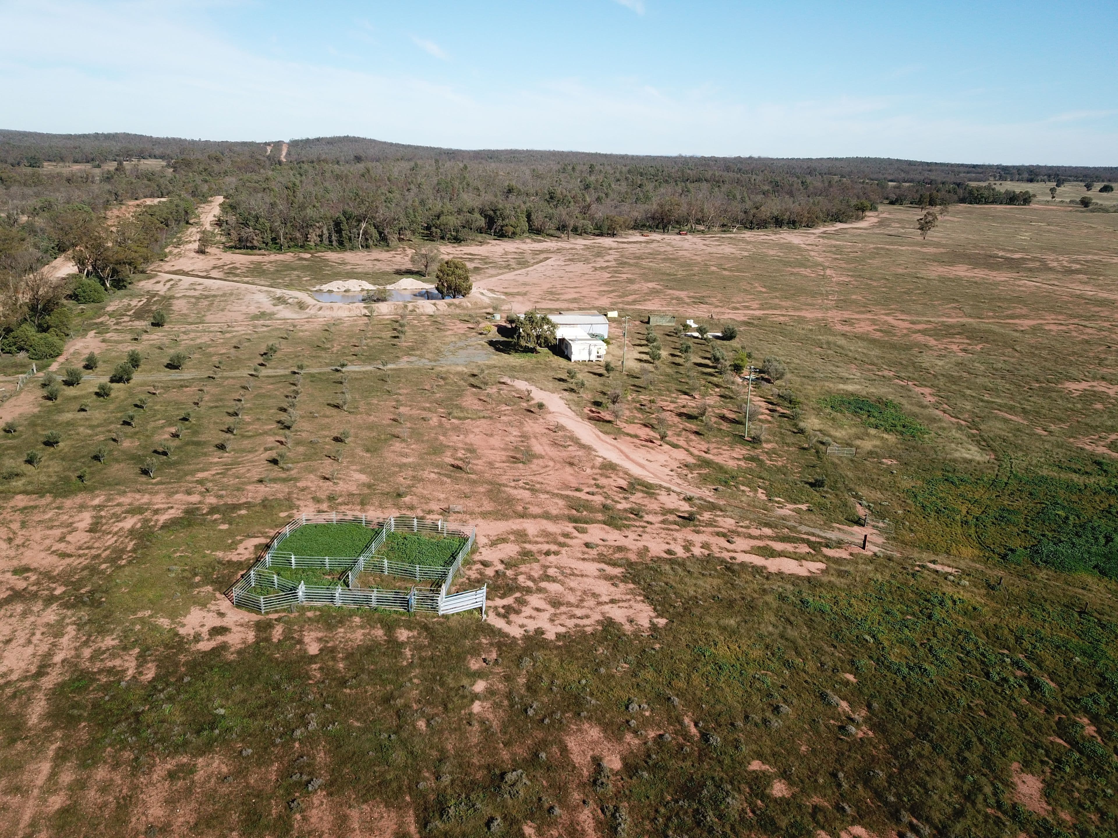 The Additional 123 Strudwicks Road, Tottenham NSW 2873, Tottenham - Image 1