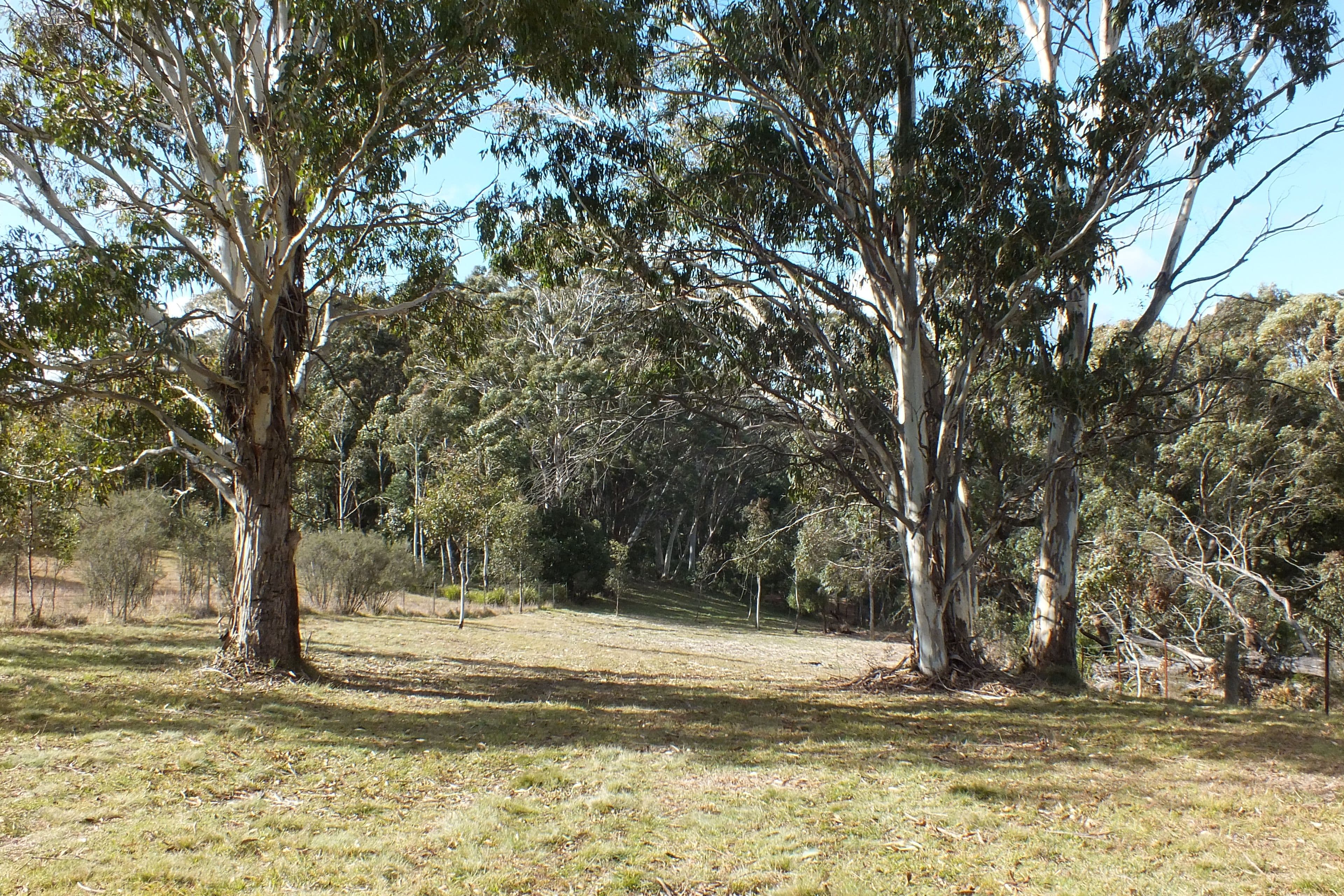 Lot 9 Jenolan Caves Road, Hampton NSW 2790, Hampton - Image 1