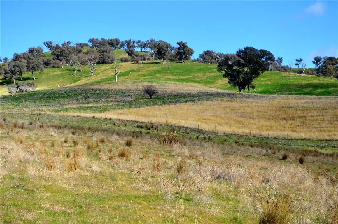 'Tanyard Creek' Stantons Road, ADELONG NSW 2729, Adelong - Image 1