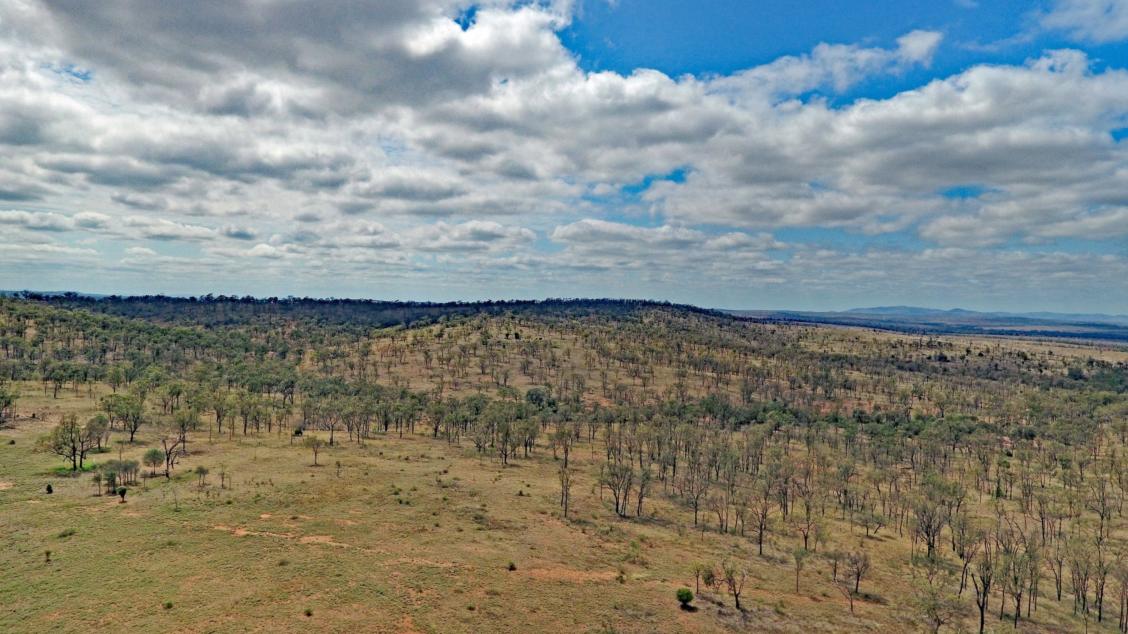 310 Fairview Road, Banana QLD 4702, Banana - Thumbnail 3