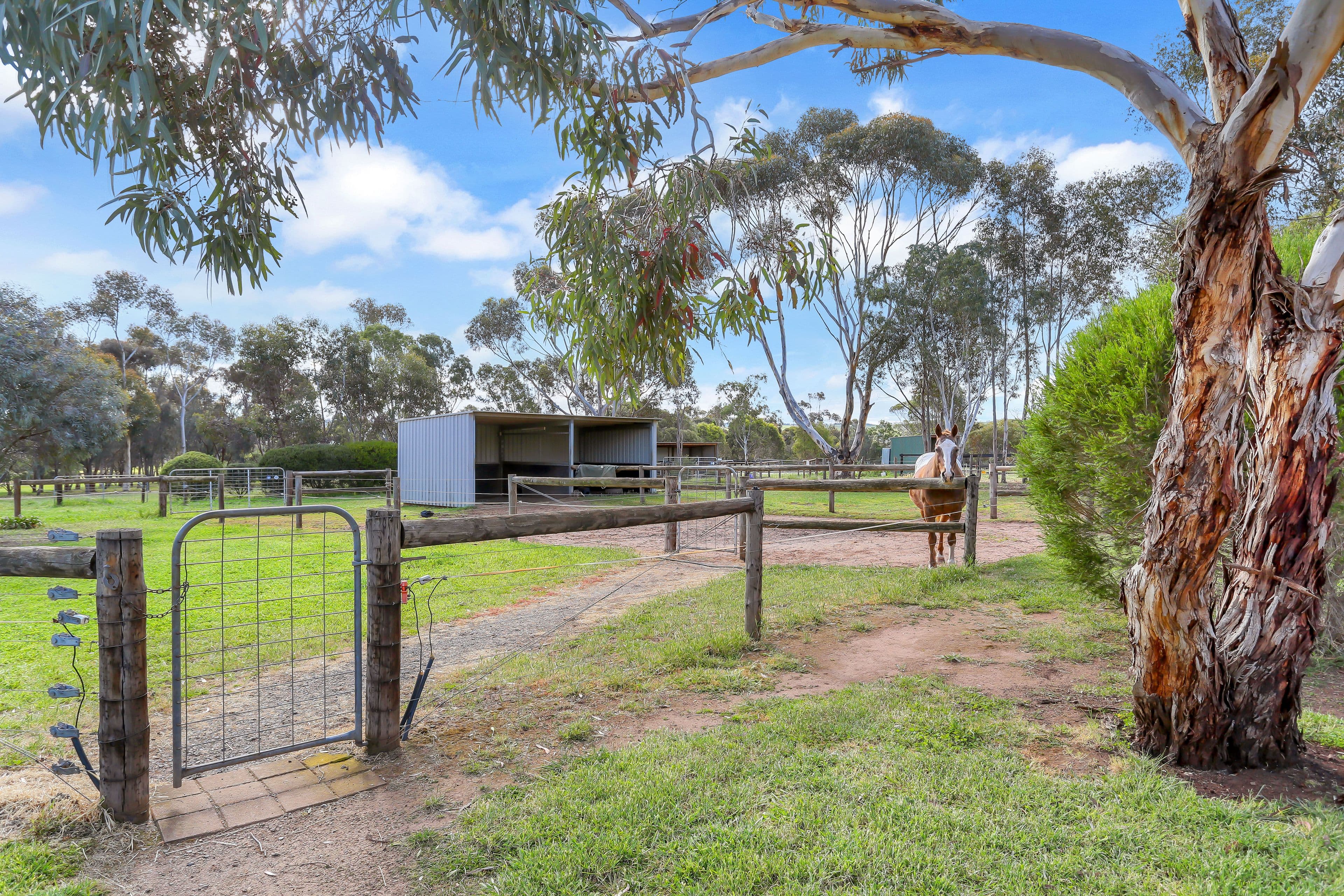 20 Stirling Court, Strathalbyn SA 5255, Strathalbyn - Thumbnail 3