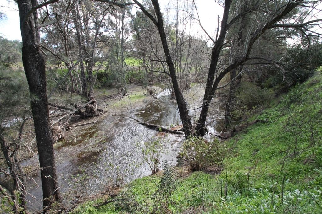 Lot 12 Grandview Place, Quirindi NSW 2343, Quirindi - Thumbnail 8