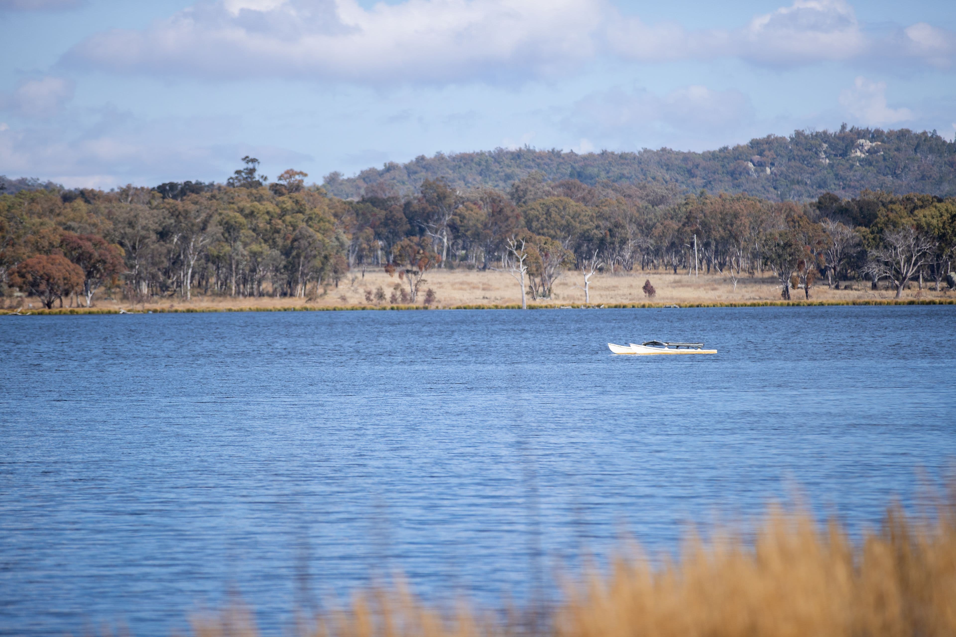 Glen Hazel Road, Bundarra NSW 2359, Bundarra - Thumbnail 6