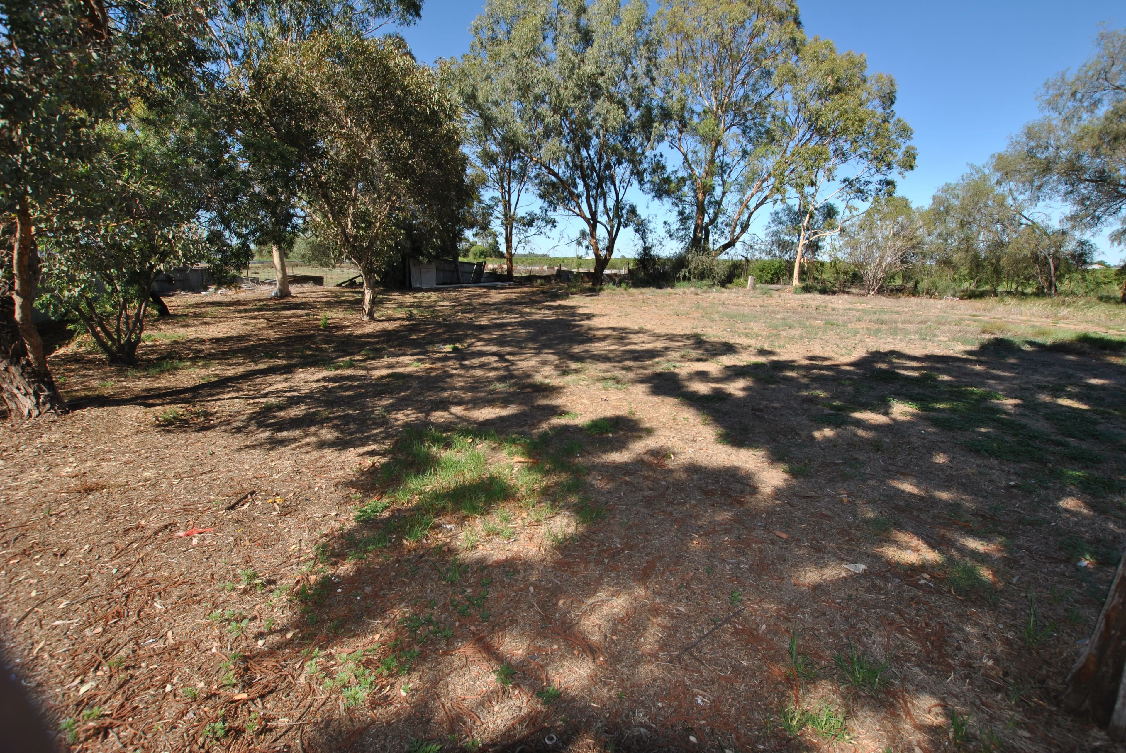 8 Wattle Street, Hanwood - Thumbnail 5