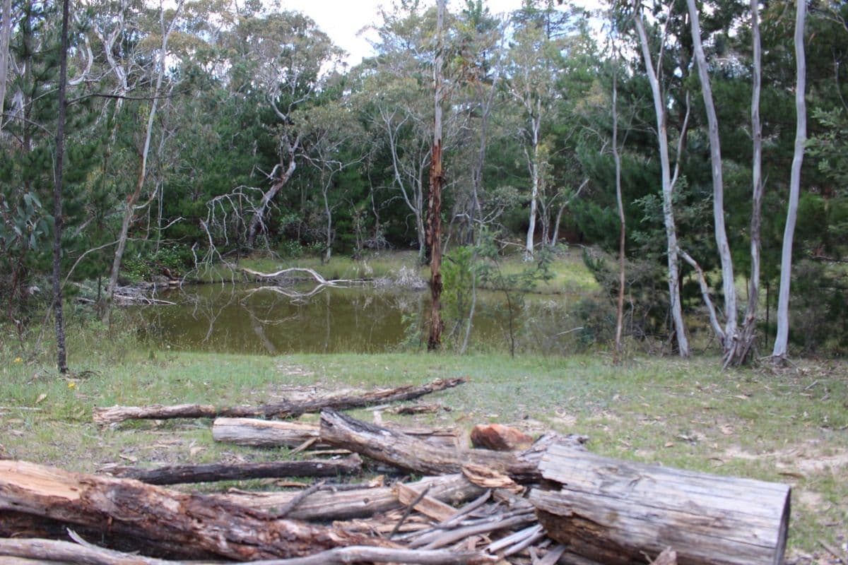 MOUNT LAMBIE NSW 2790, Mount Lambie - Thumbnail 6