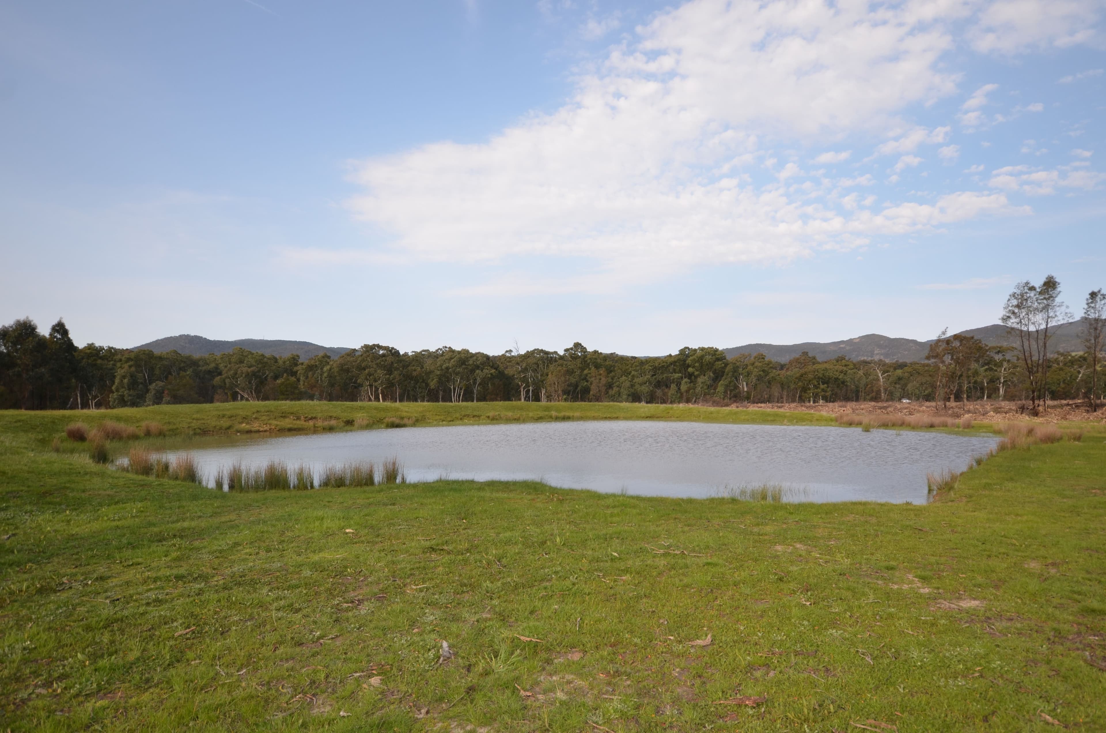 Pilgrim South Buangor - Ben Nevis Road, WARRAK VIC 3377, Warrak - Thumbnail 2
