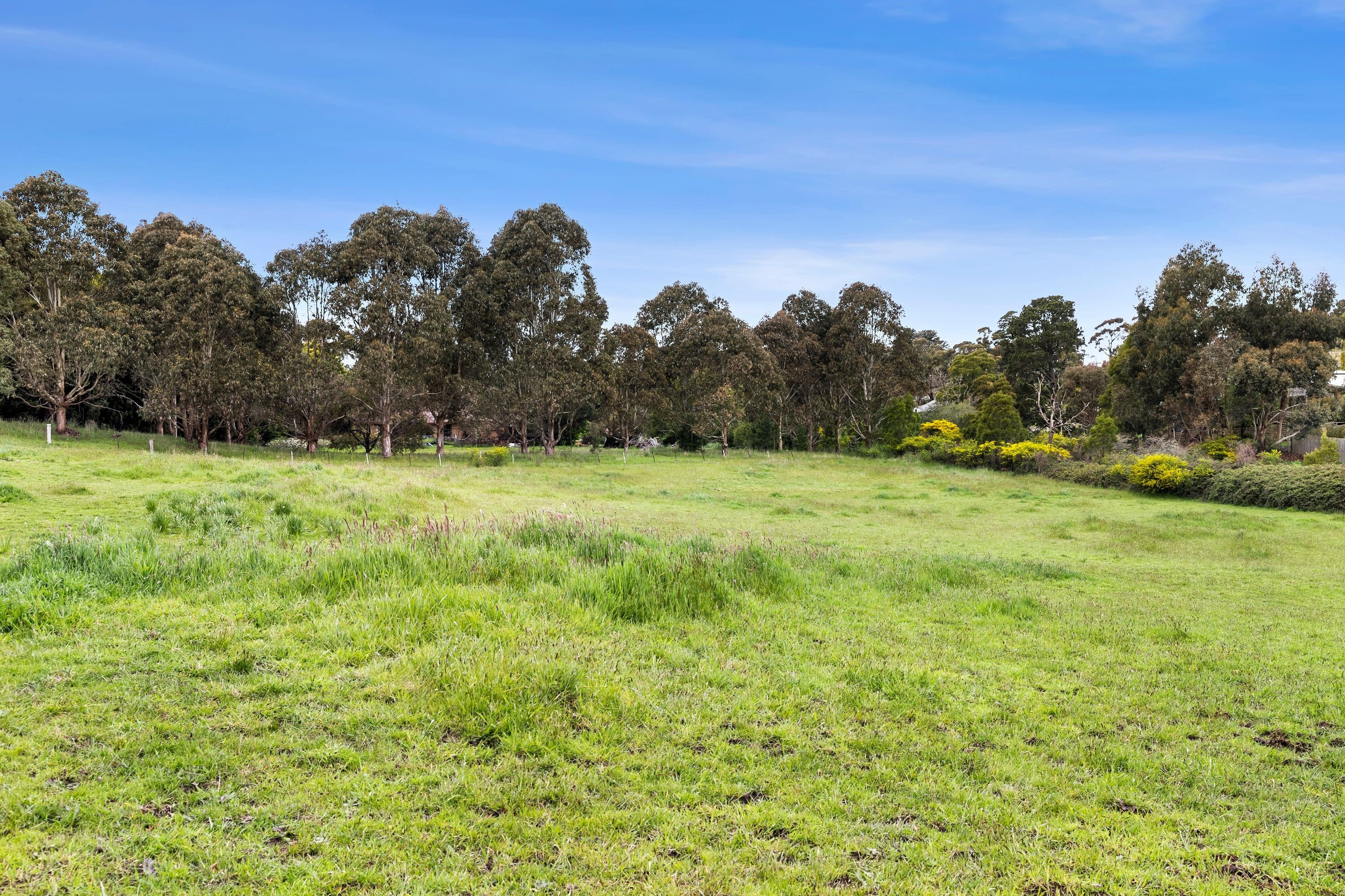 6 Jones Street, Brown Hill  Victoria  3350, Australia, Brown Hill - Thumbnail 6