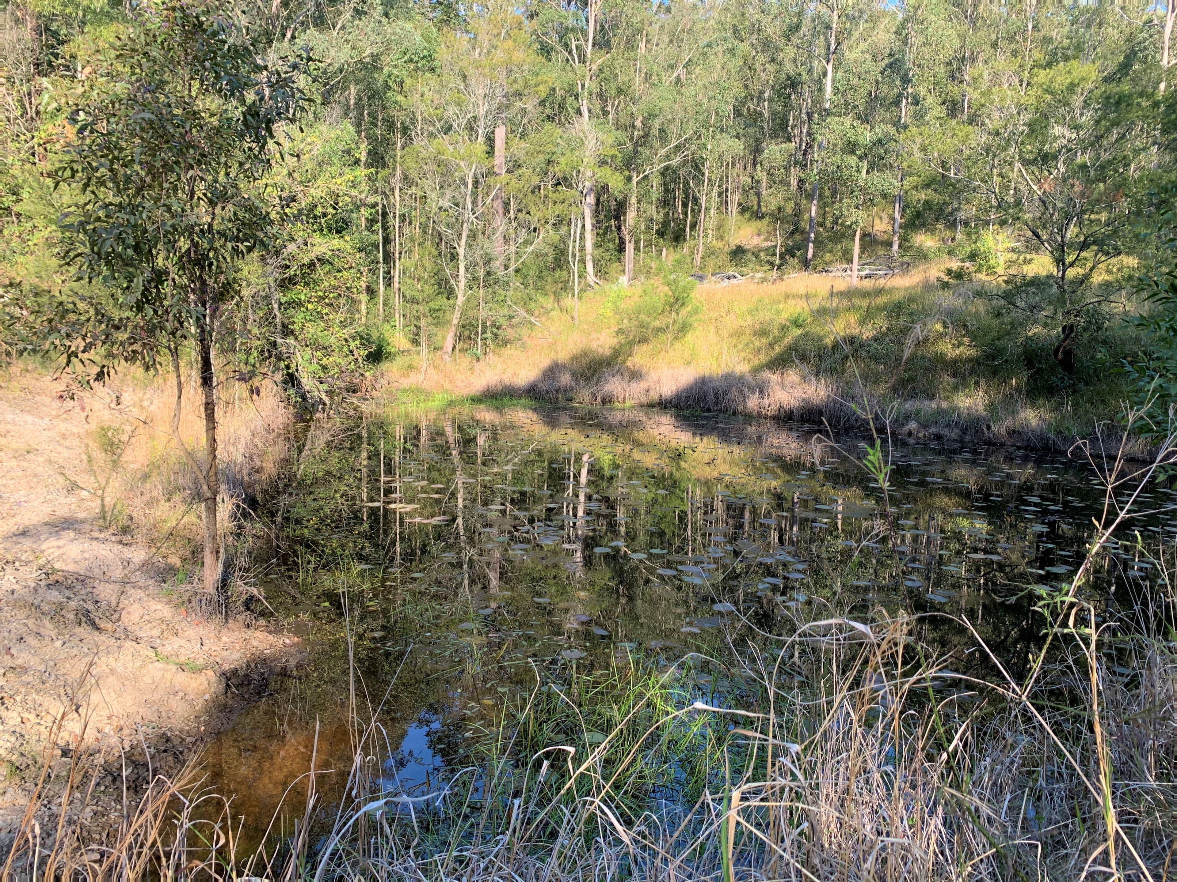 Lot 51 Upper Myall Road, Upper Myall NSW 2423, Upper Myall - Thumbnail 6