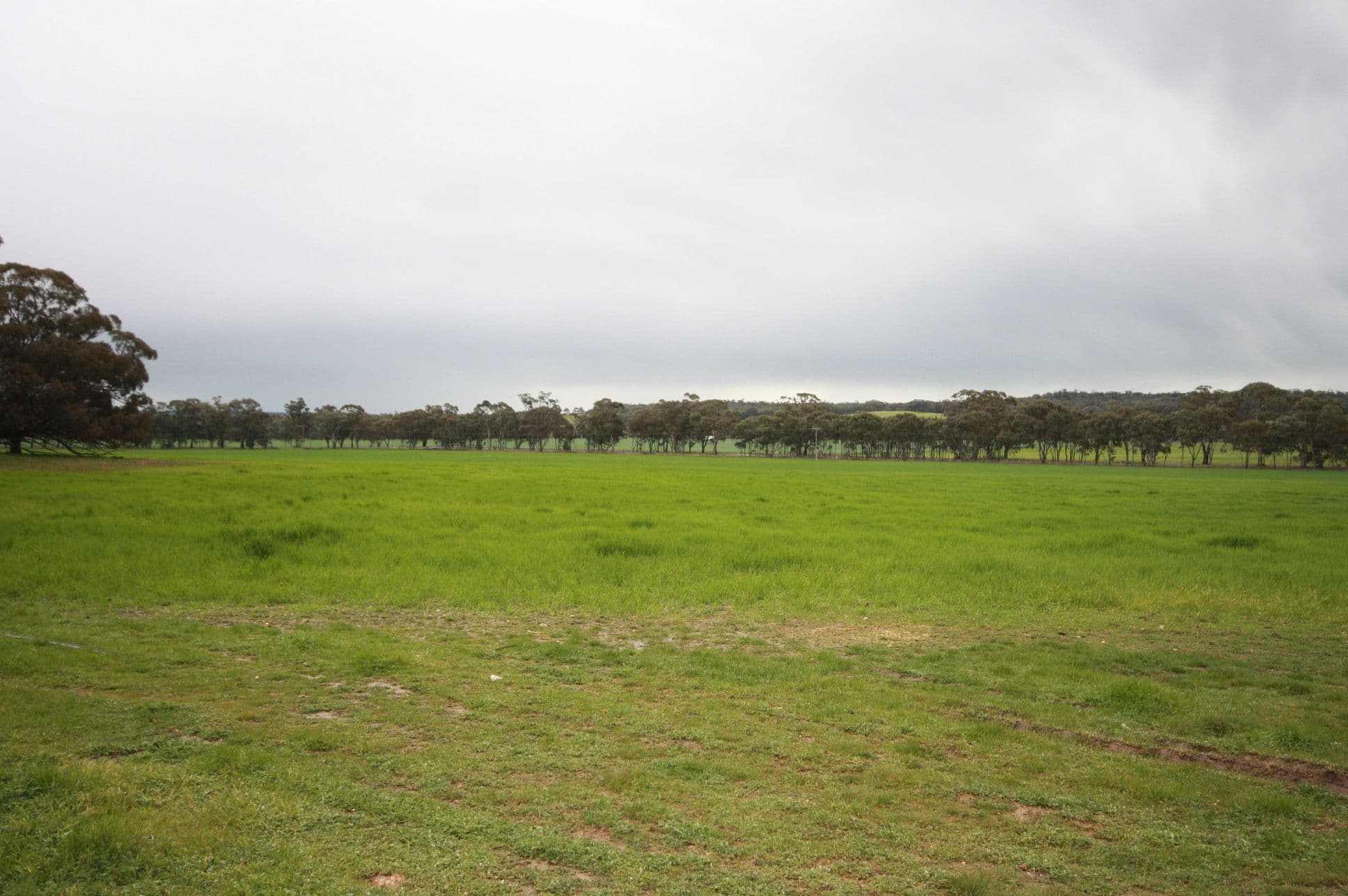 00 Kooreh Road, CARAPOOEE VIC 3477, Carapooee - Thumbnail 6