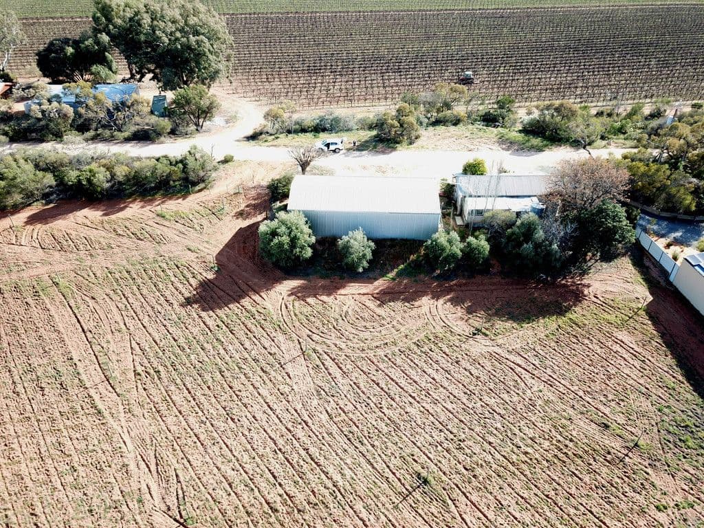 332 Costello Road, Loveday SA 5345, Loveday - Thumbnail 8