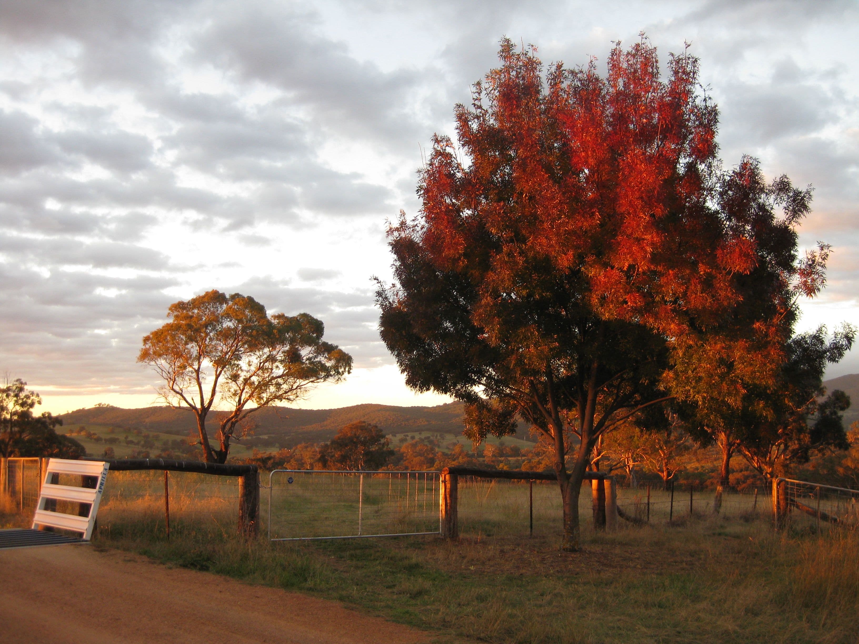 BATHURST NSW 2795, Bathurst - Image 1