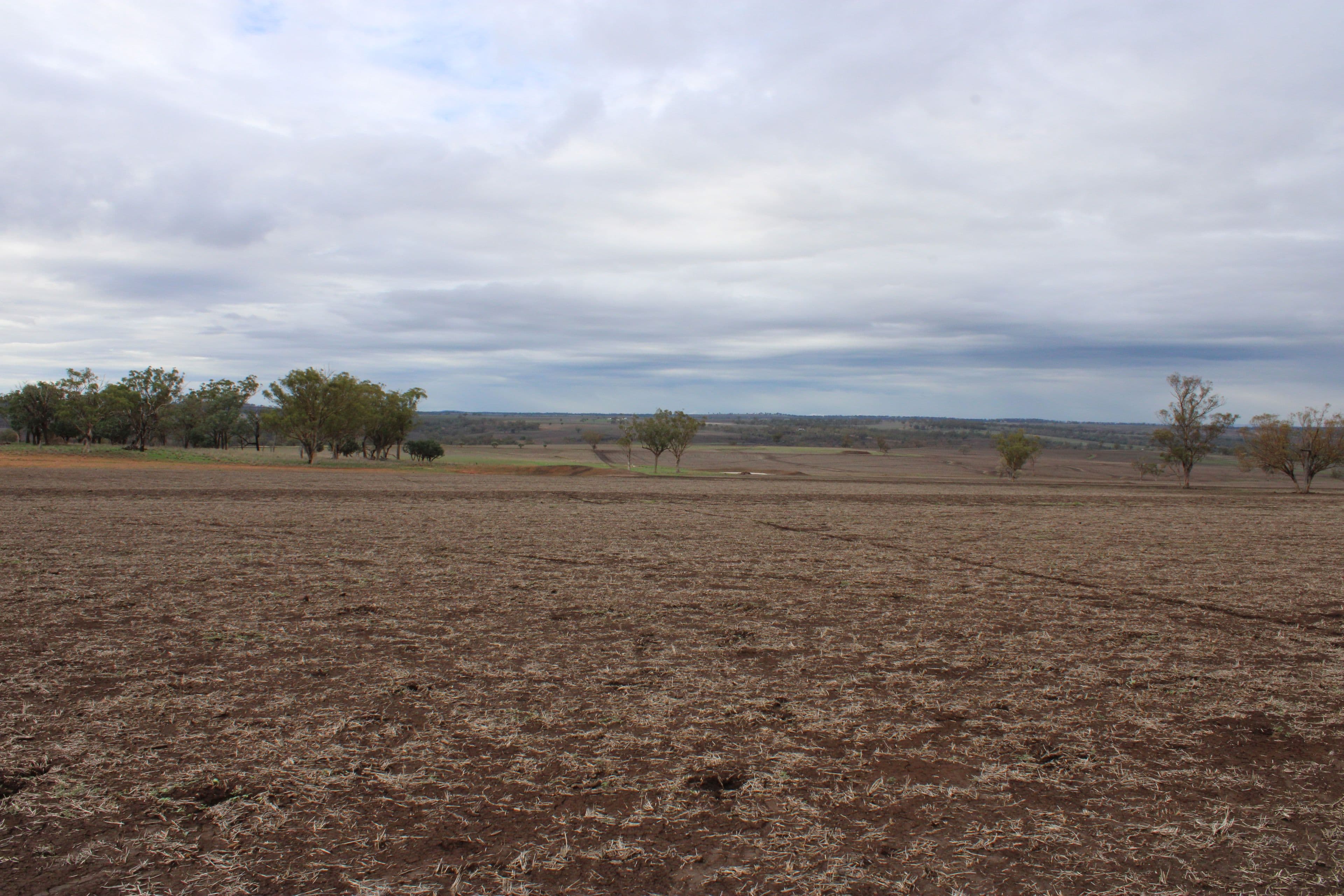 Inverell NSW 2360, Inverell - Thumbnail 6