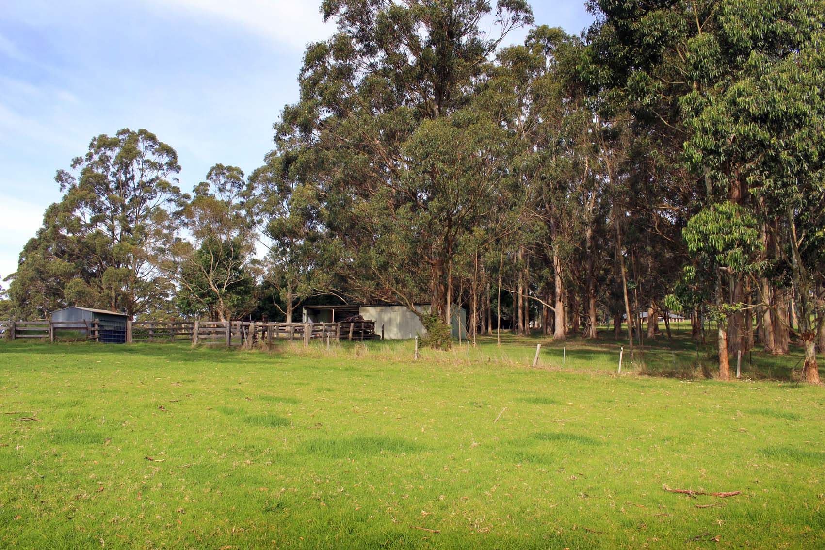 31 Pittam Way, Denmark WA 6333, Denmark - Thumbnail 7