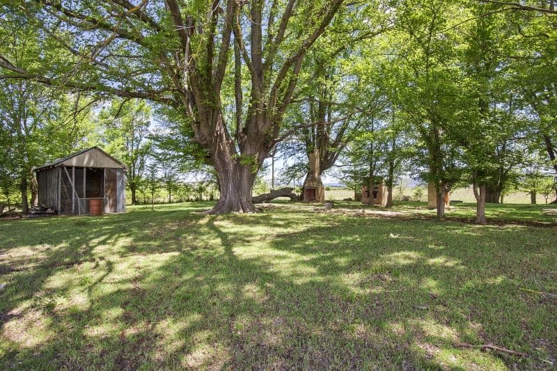 196 O'Briens Road, Braidwood NSW 2622, Braidwood - Image 1
