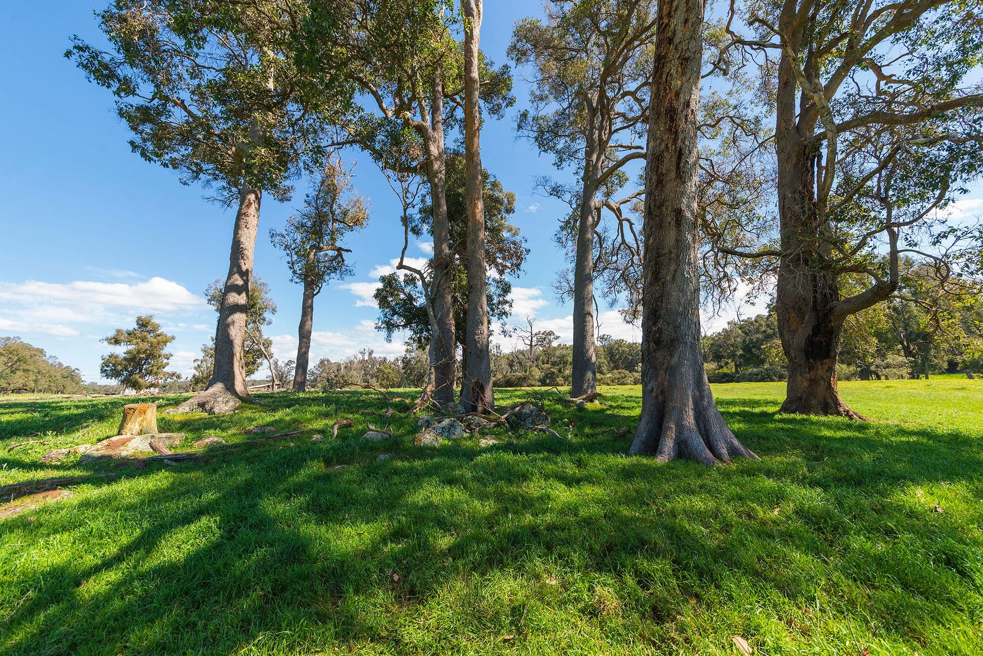Nannup WA 6275, Nannup - Thumbnail 6
