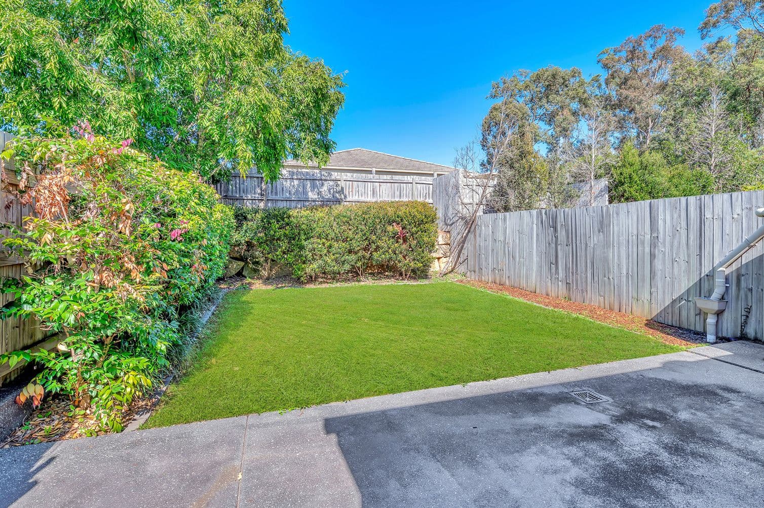 14 Tuxworth Place, Pimpama QLD 4209, Pimpama - Thumbnail 2