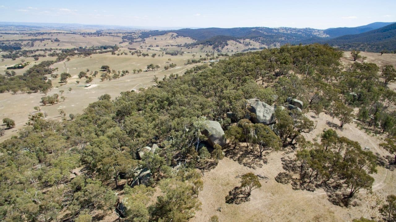 1557 Tarana Road, Locksley NSW 2795, Locksley - Thumbnail 7