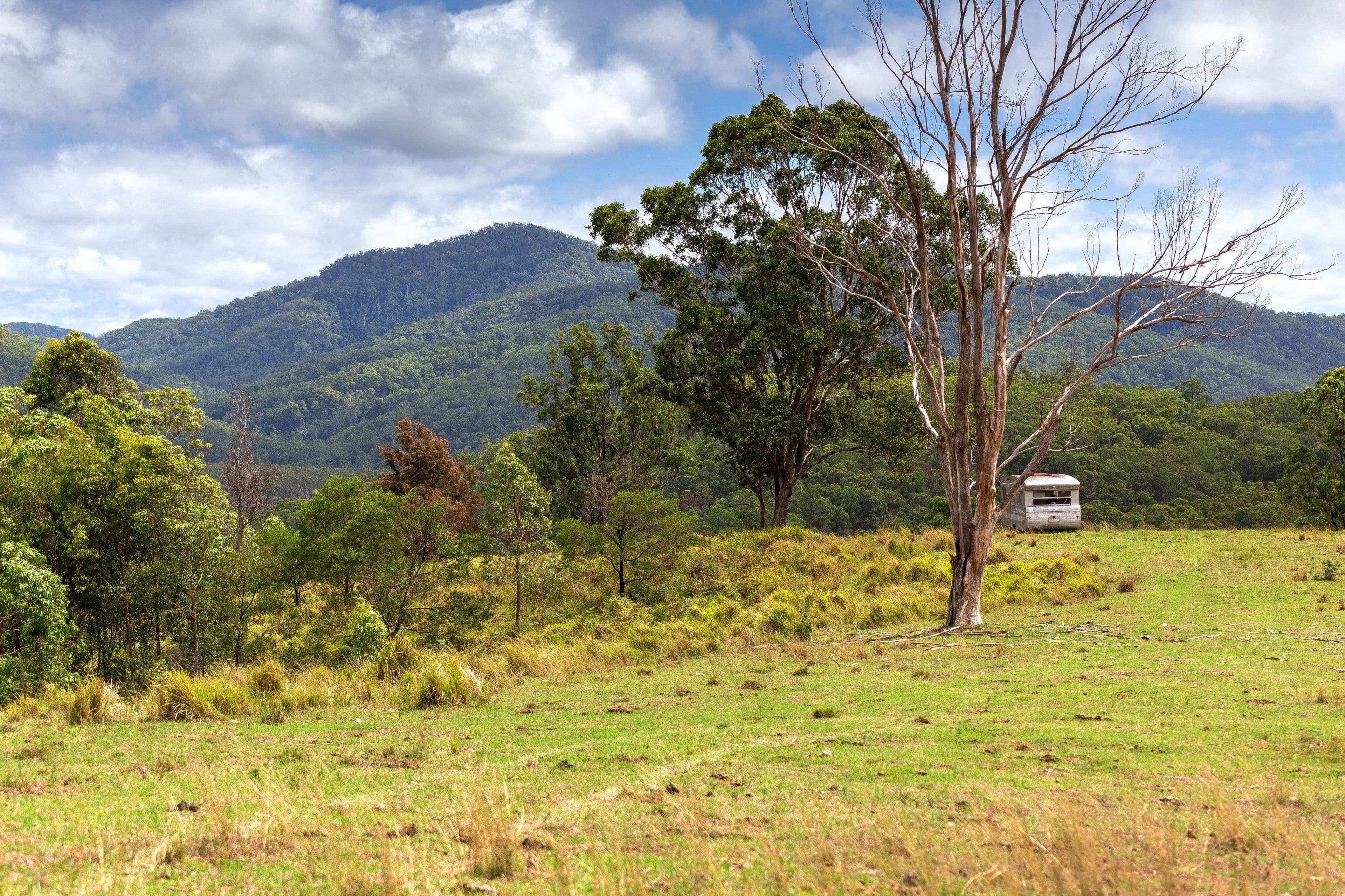 626 Black Flat Lane, Mount George NSW 2424, Mount George - Thumbnail 8