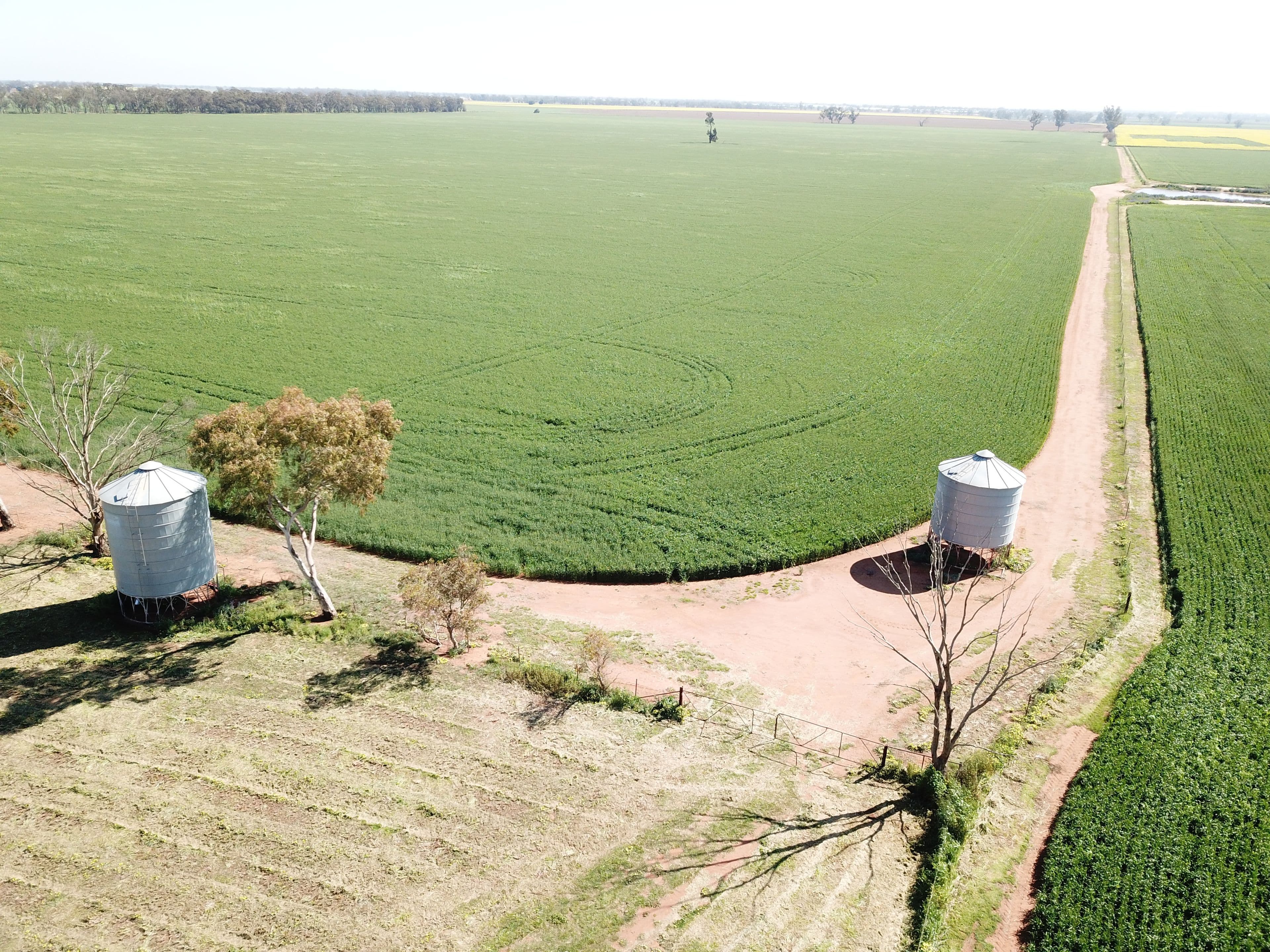 'Iona' 162 Craigie Lea Lane, Narromine NSW 2821, Narromine - Thumbnail 6