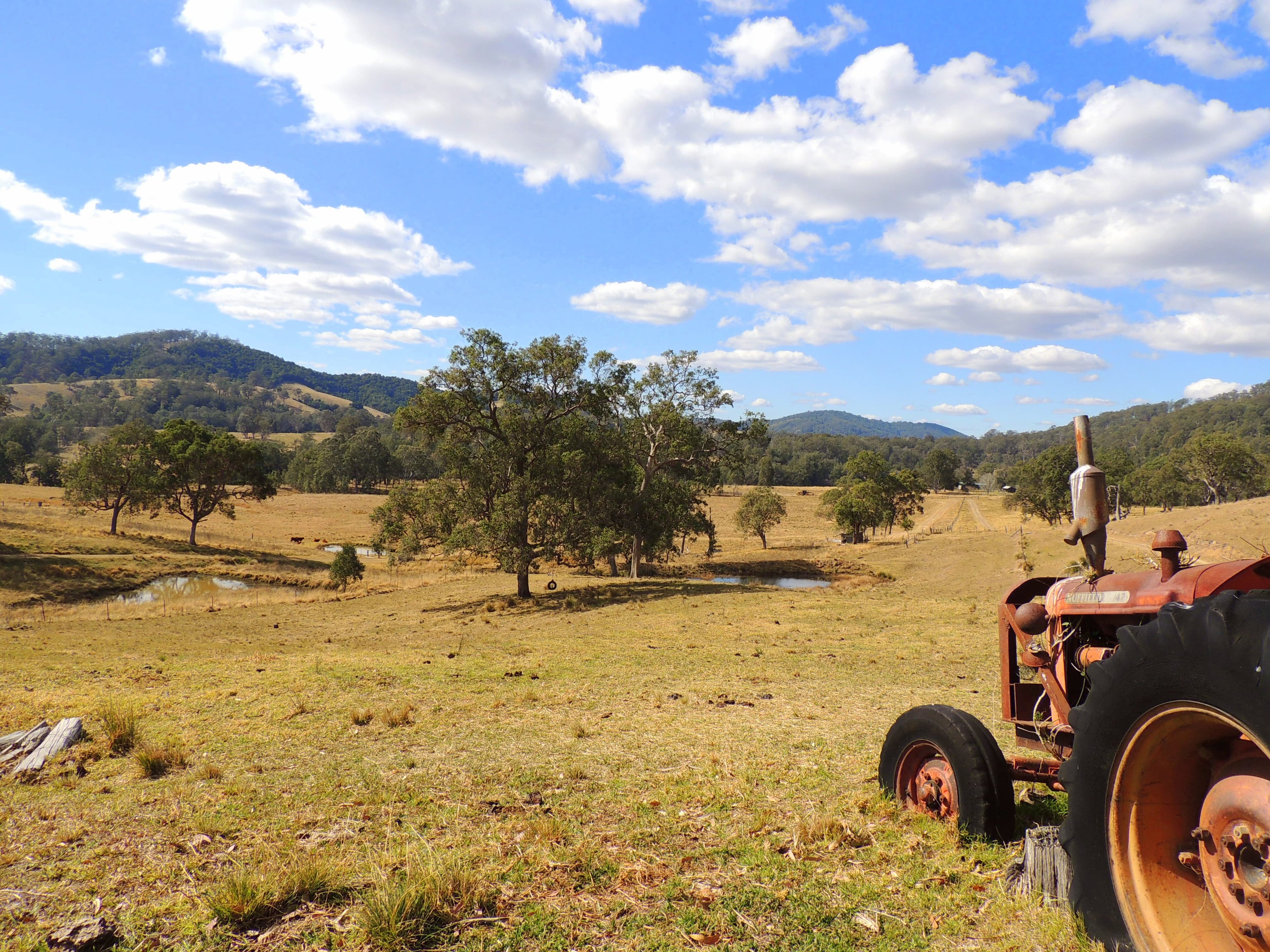 419 Bakers Creek Road, Gloucester NSW 2422, Gloucester - Thumbnail 5