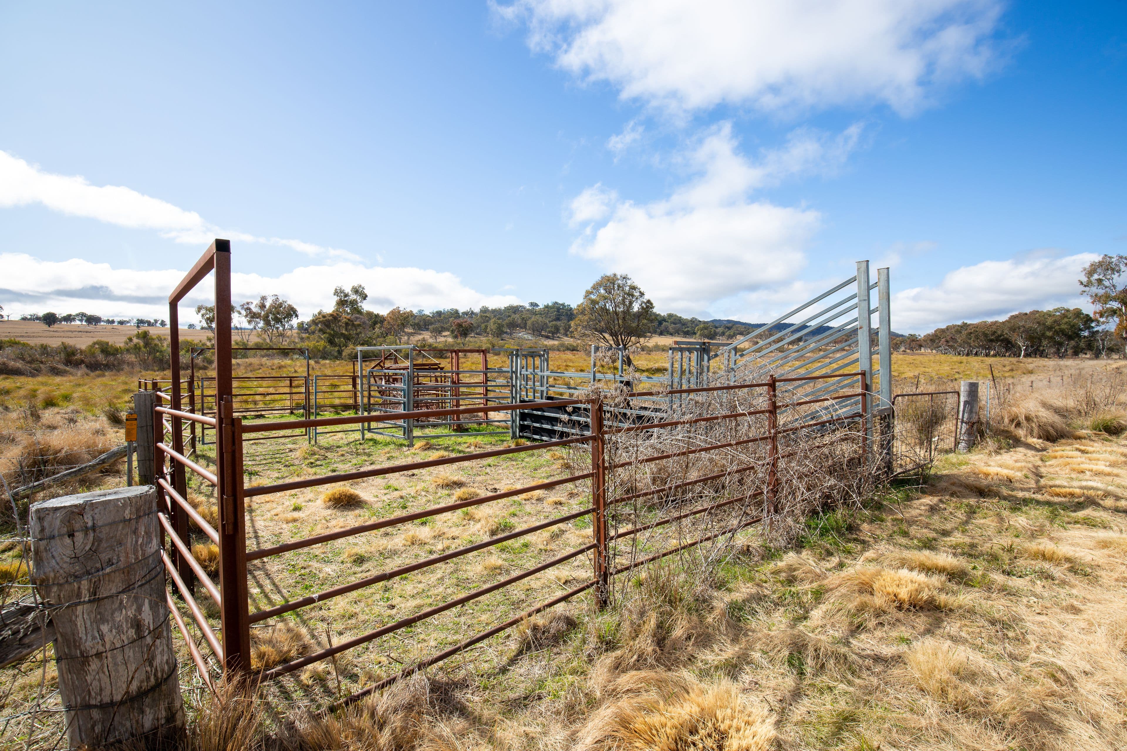 Balala NSW 2358, Balala - Thumbnail 8